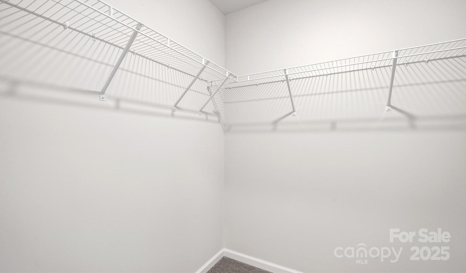 Photo #12