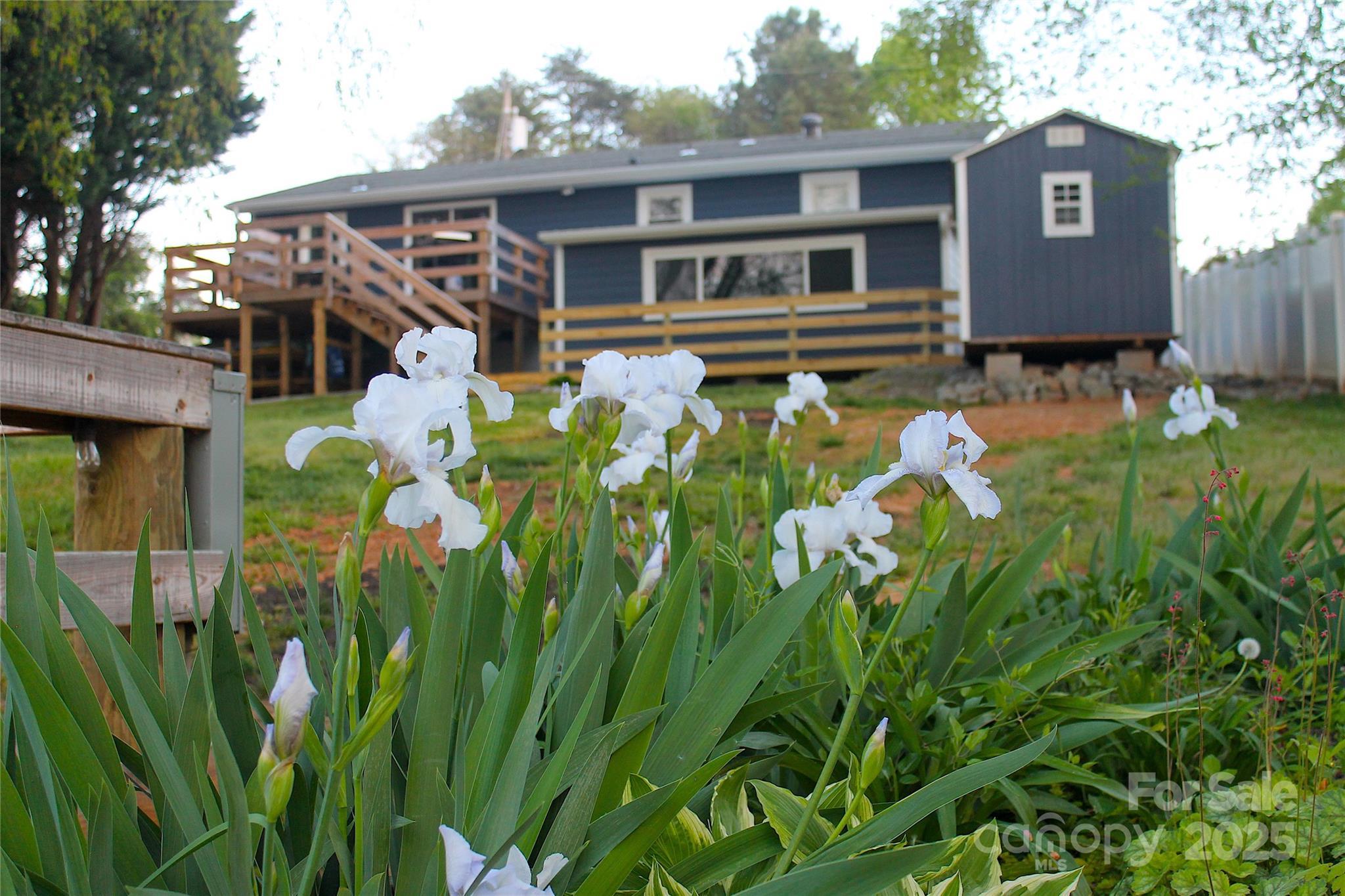 Photo #28
