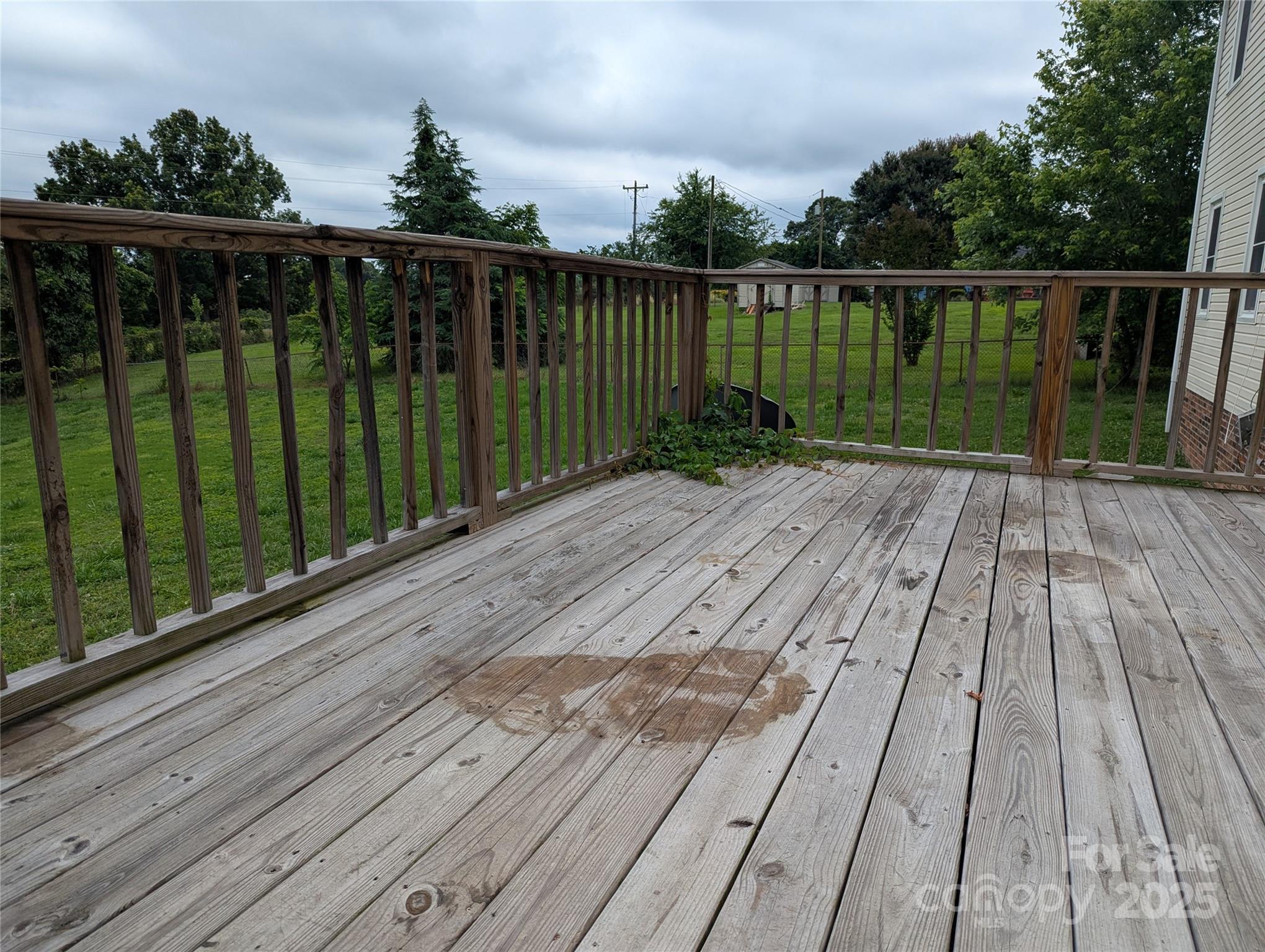 Photo #24