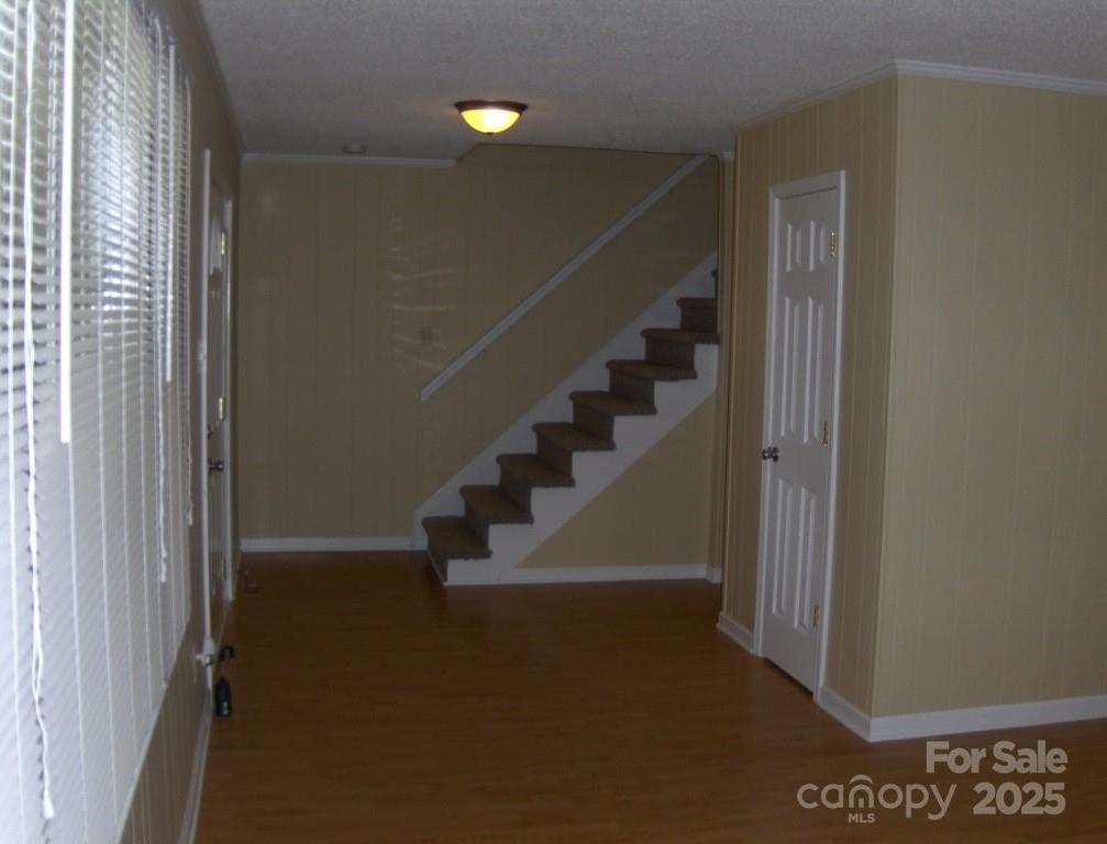 Photo #9