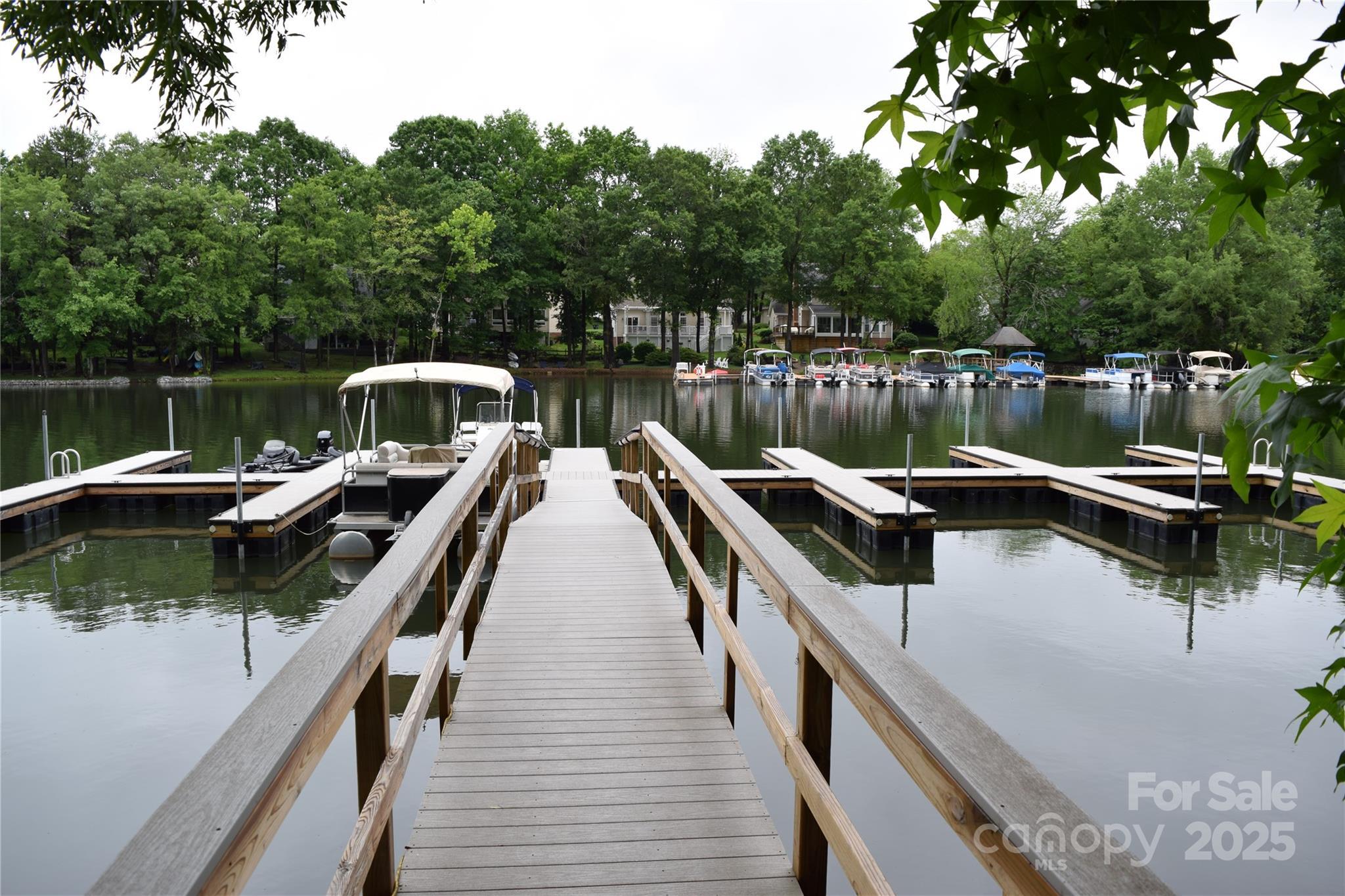 Photo #46