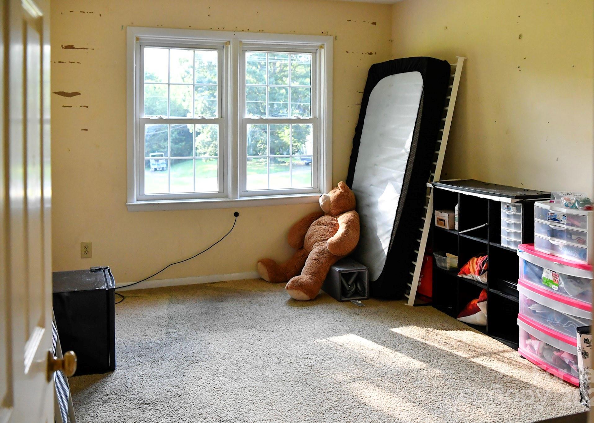 Photo #19