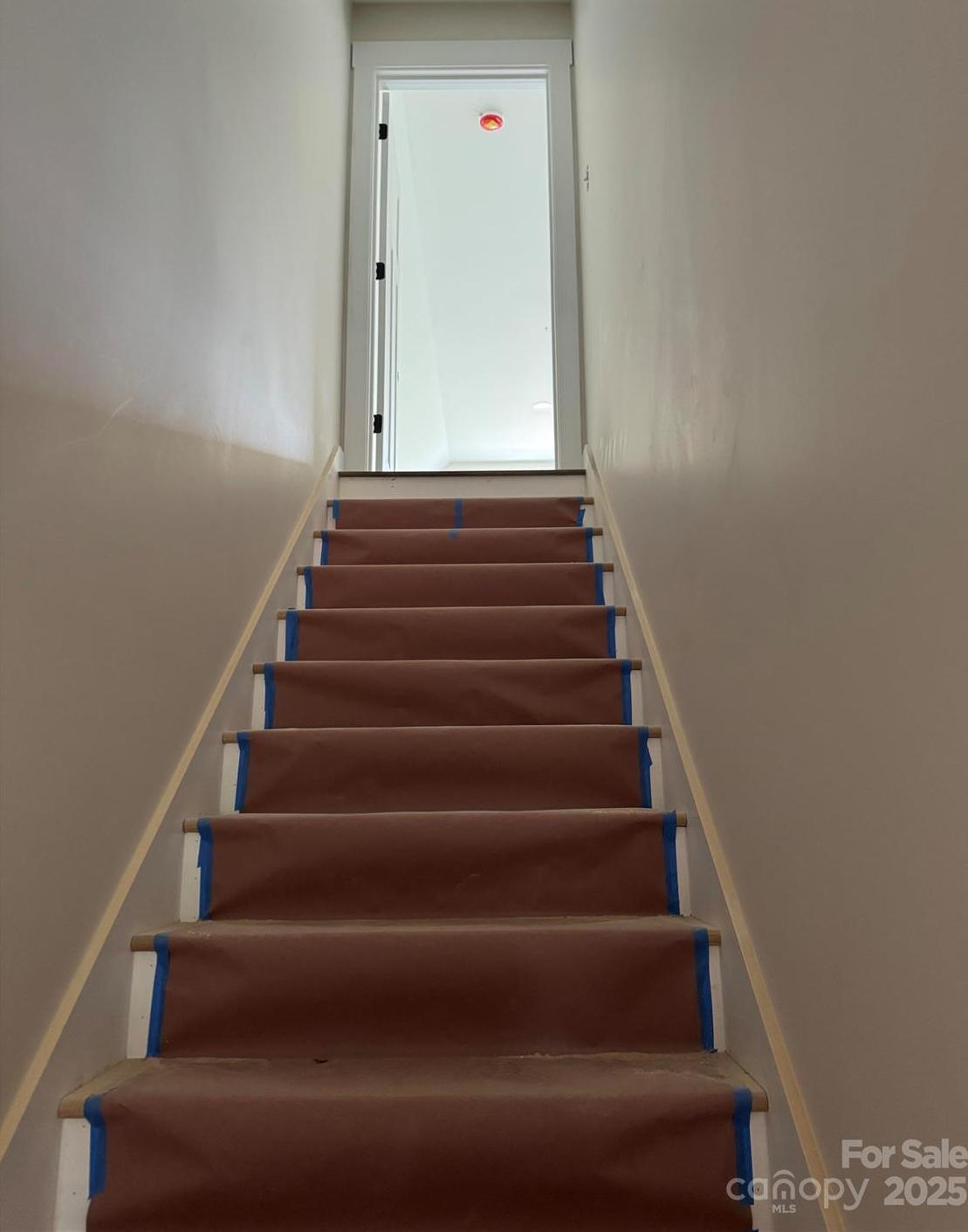 Photo #12