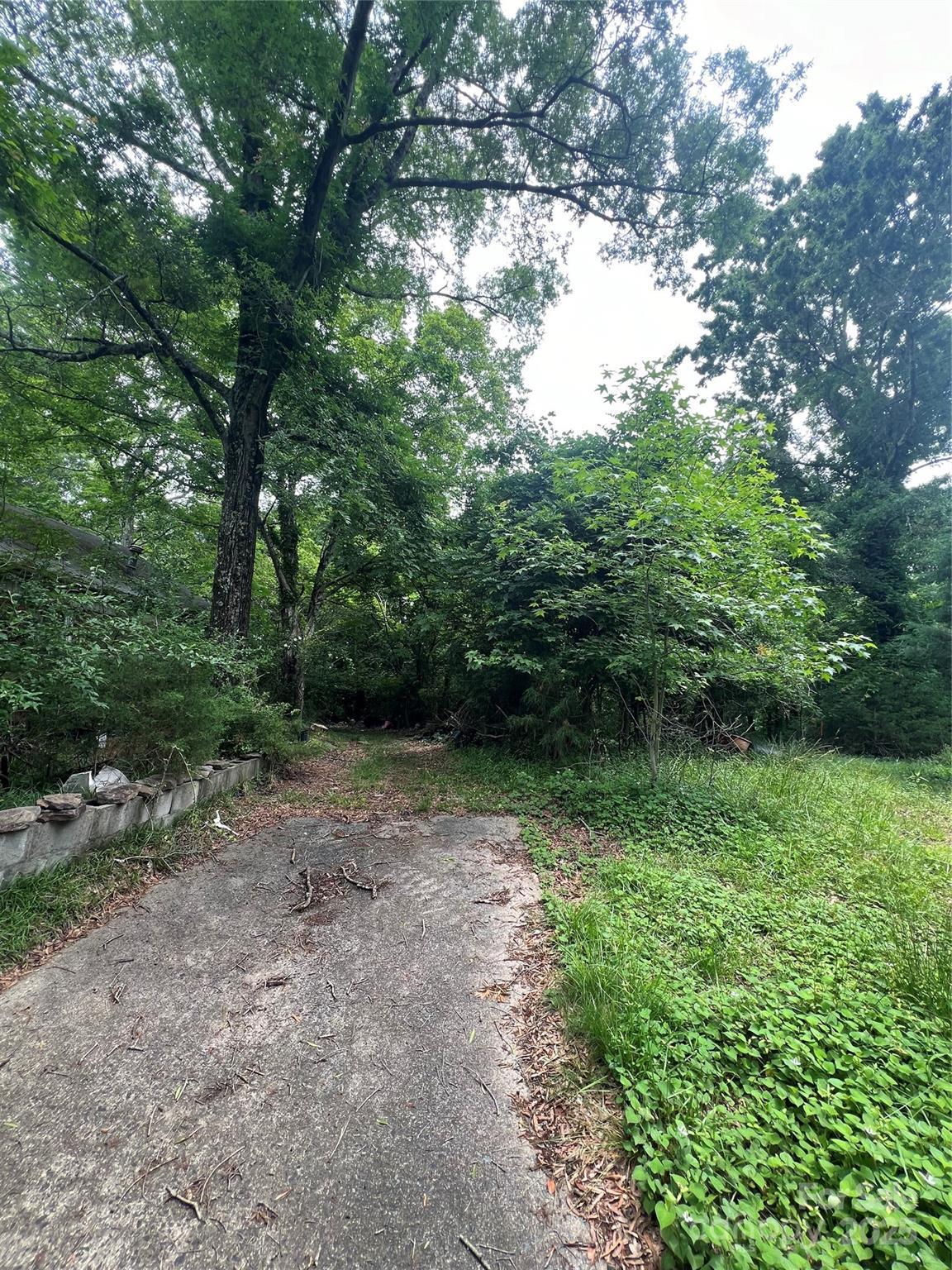 Photo #3