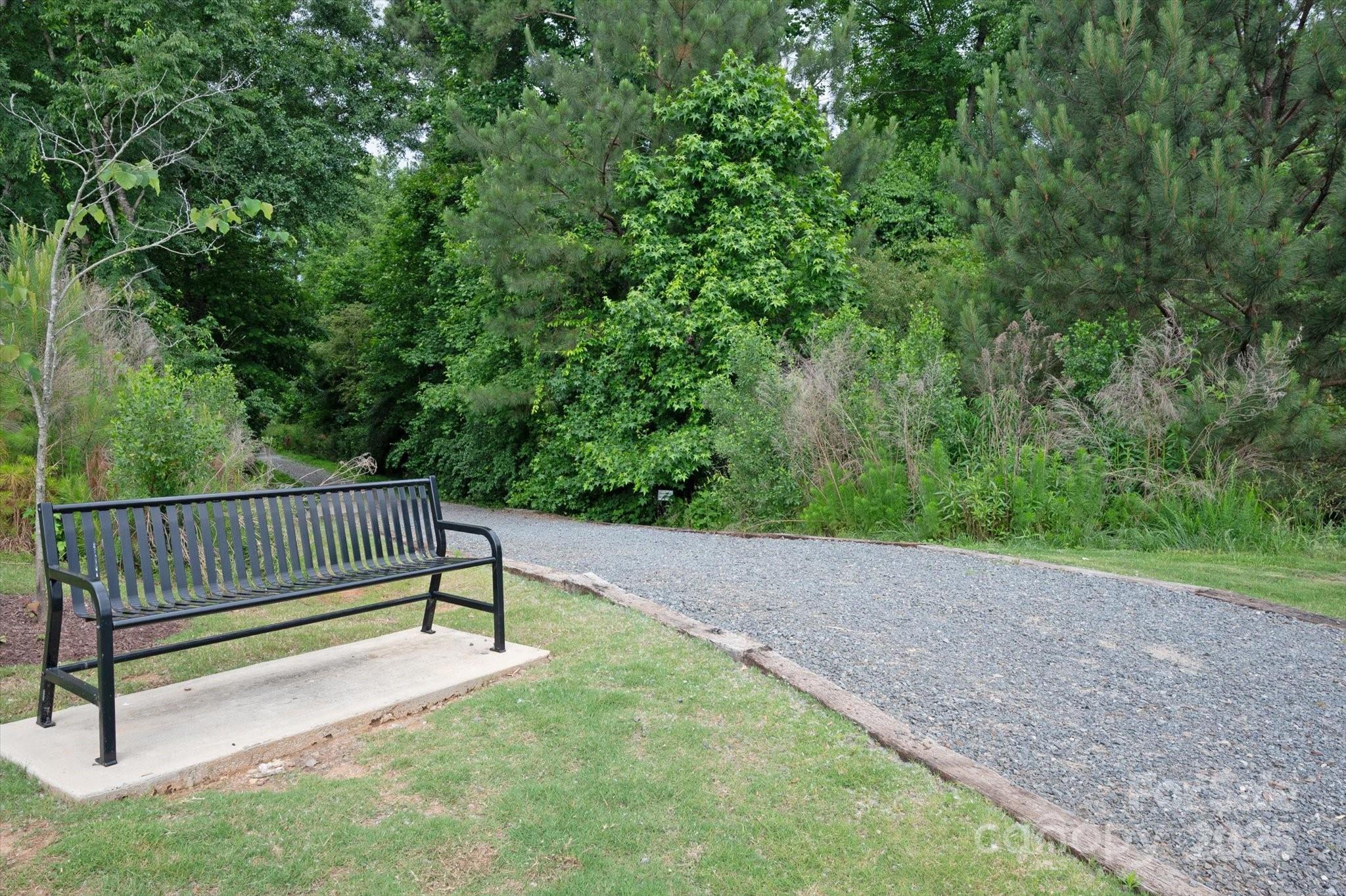 Photo #41