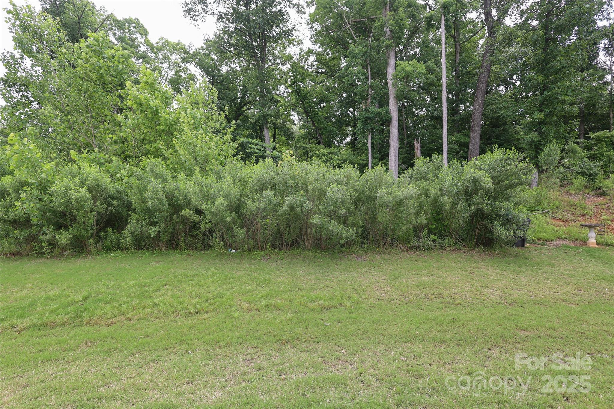 Photo #41