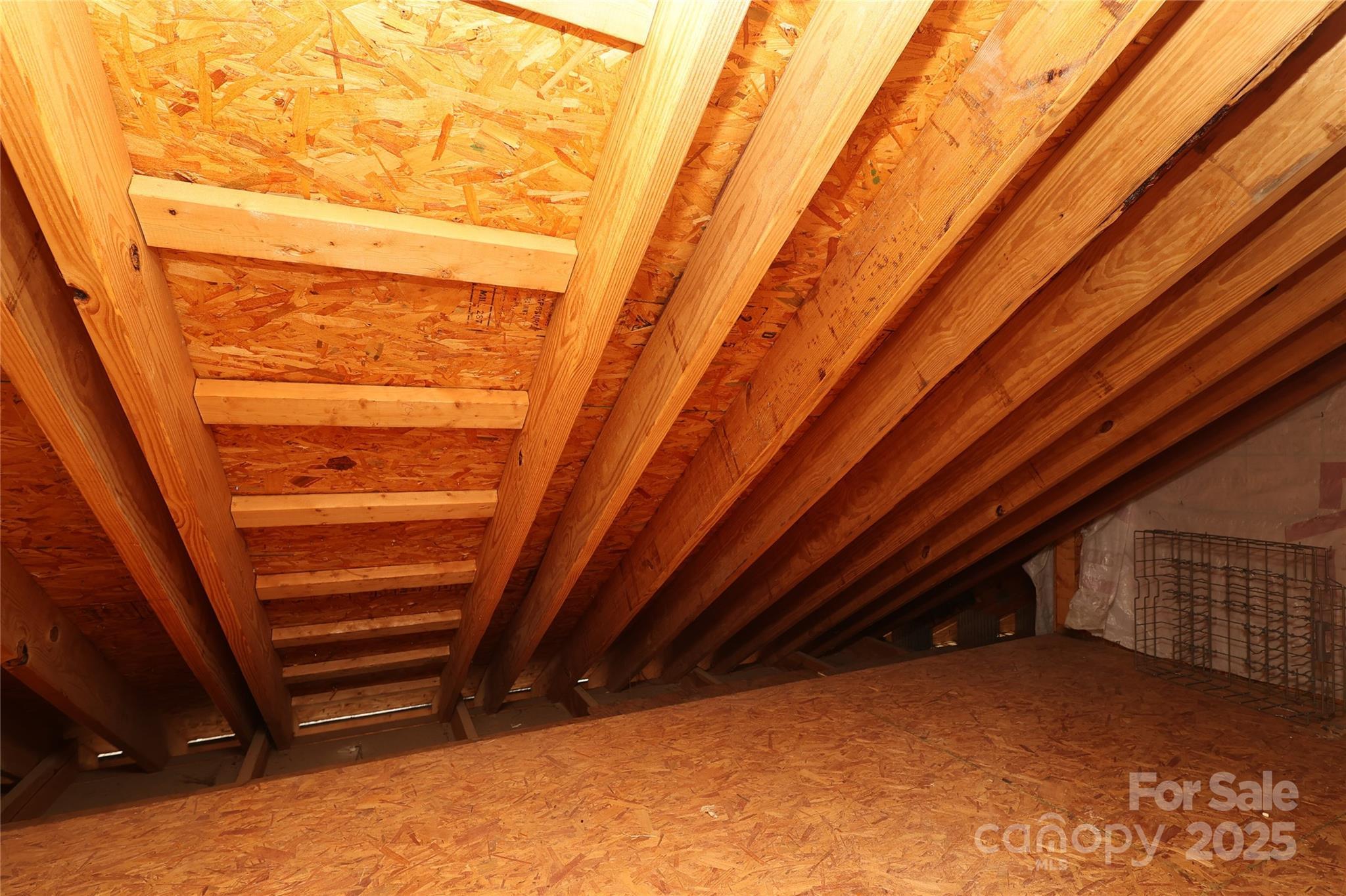 Photo #39