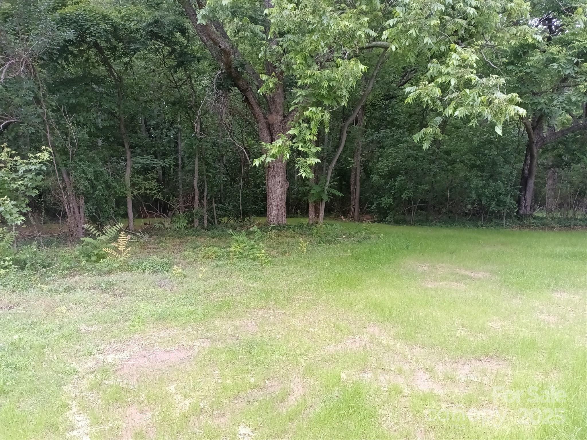 Photo #3
