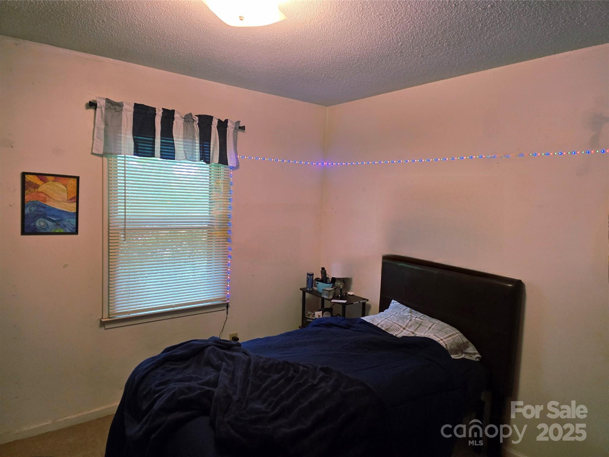 Photo #15