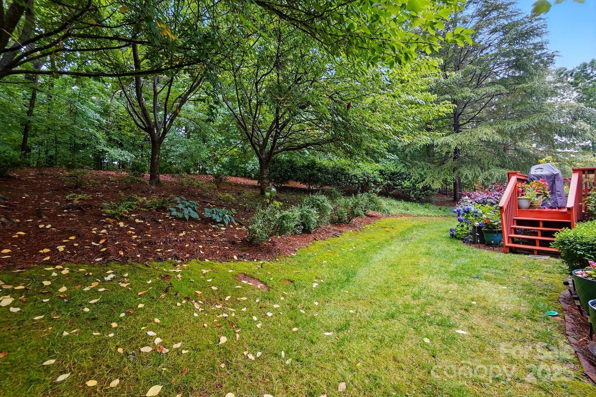 Photo #39