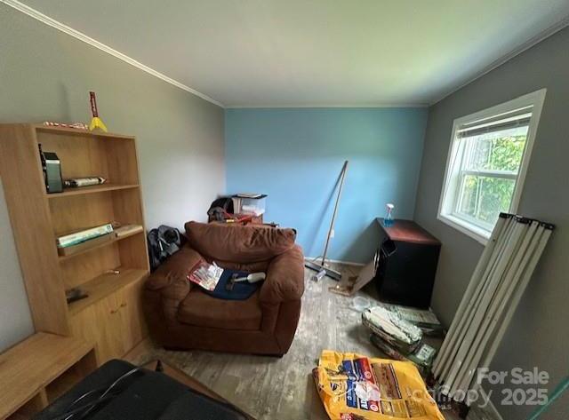 Photo #43