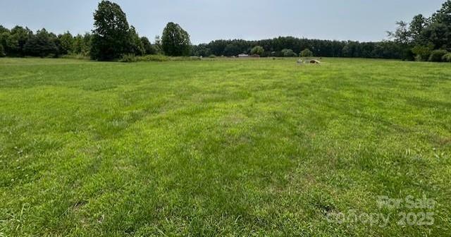 Photo #4