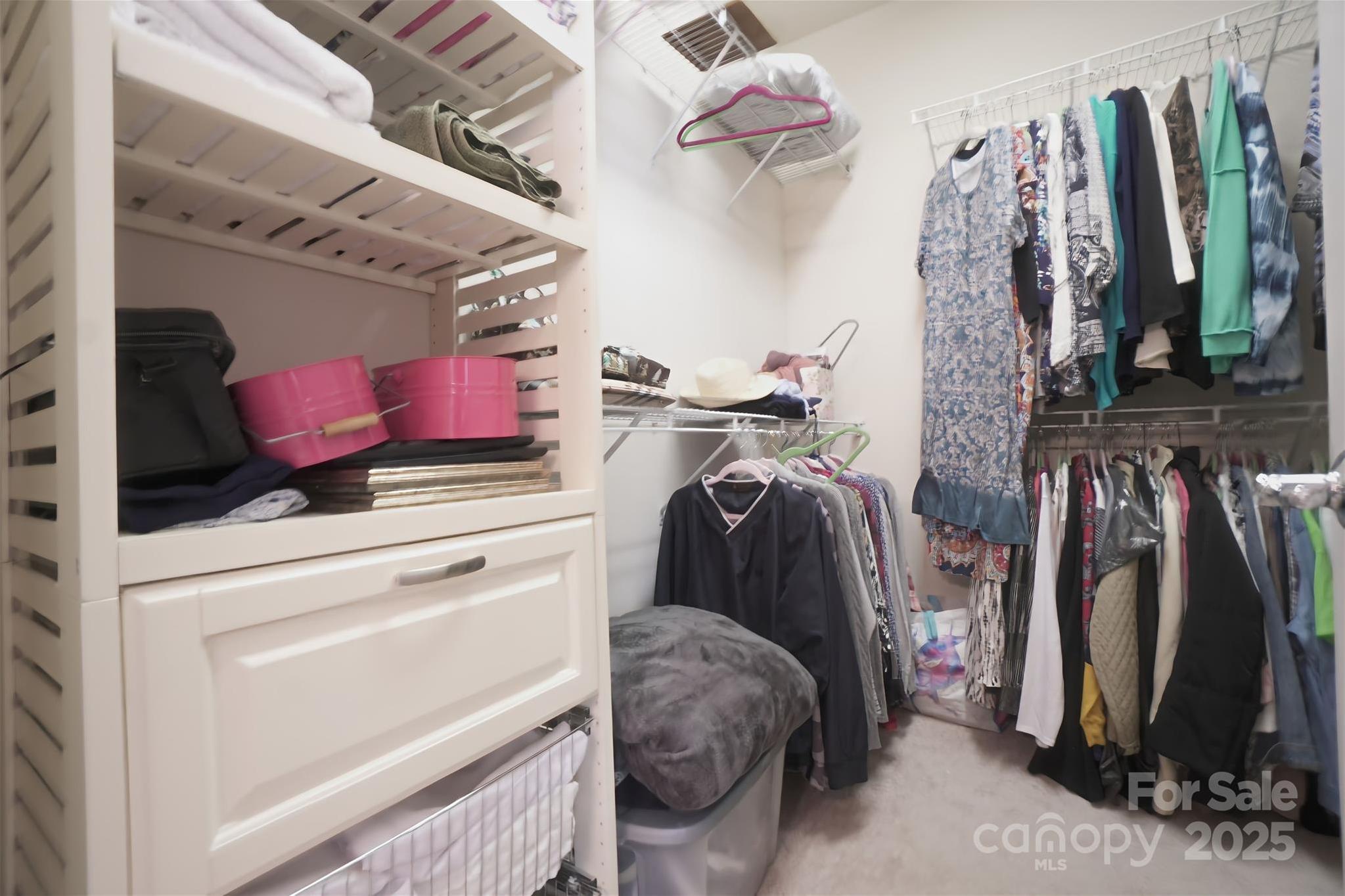 Photo #11