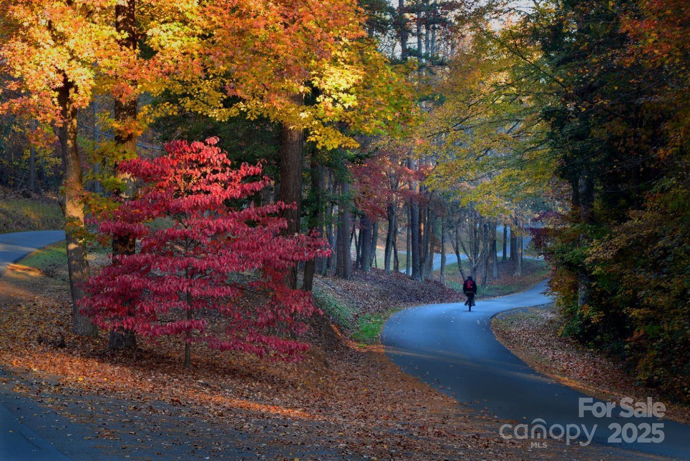 Photo #42