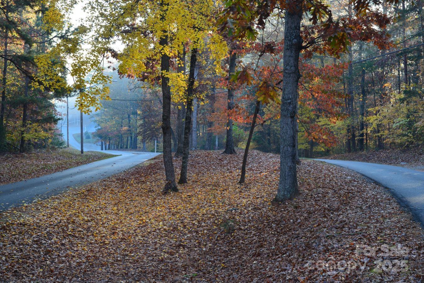 Photo #44