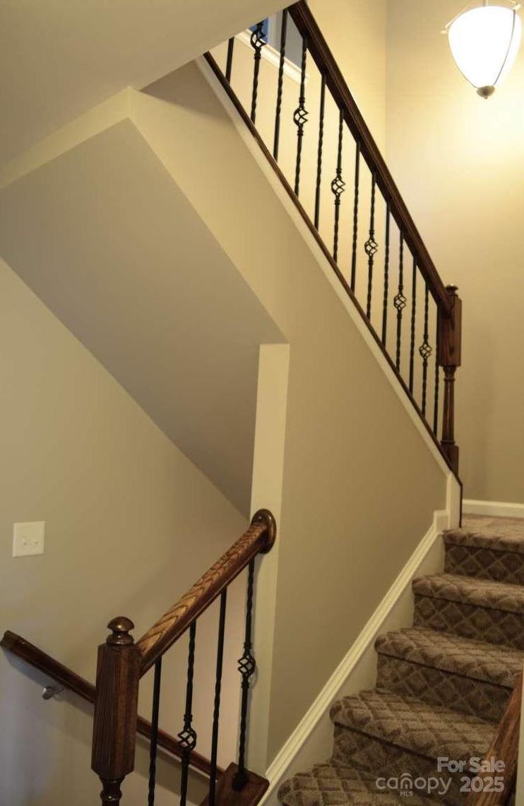 Photo #43