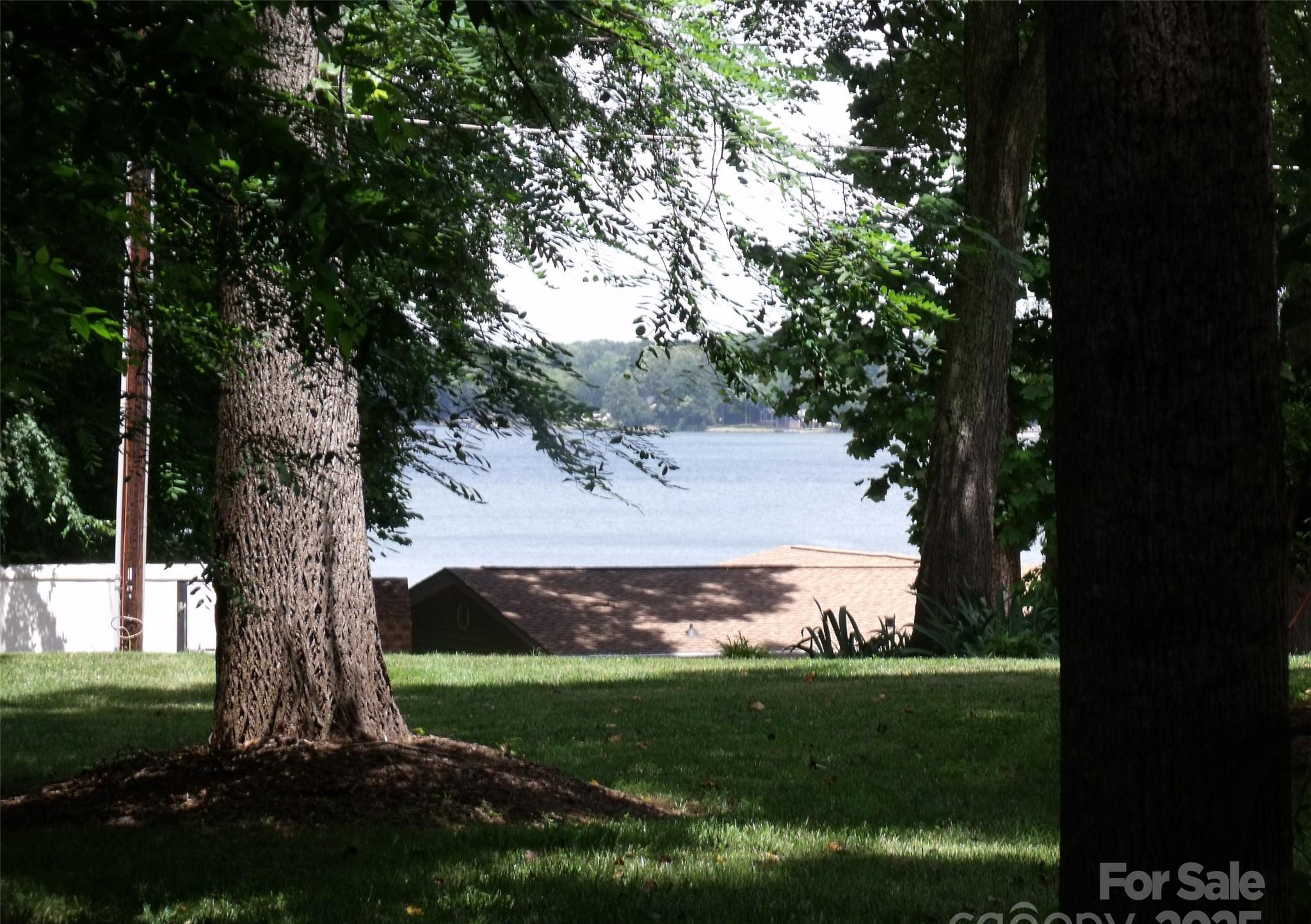 Photo #35