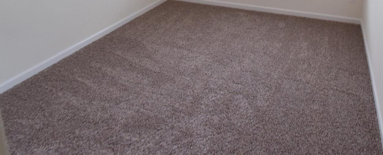 Photo #31