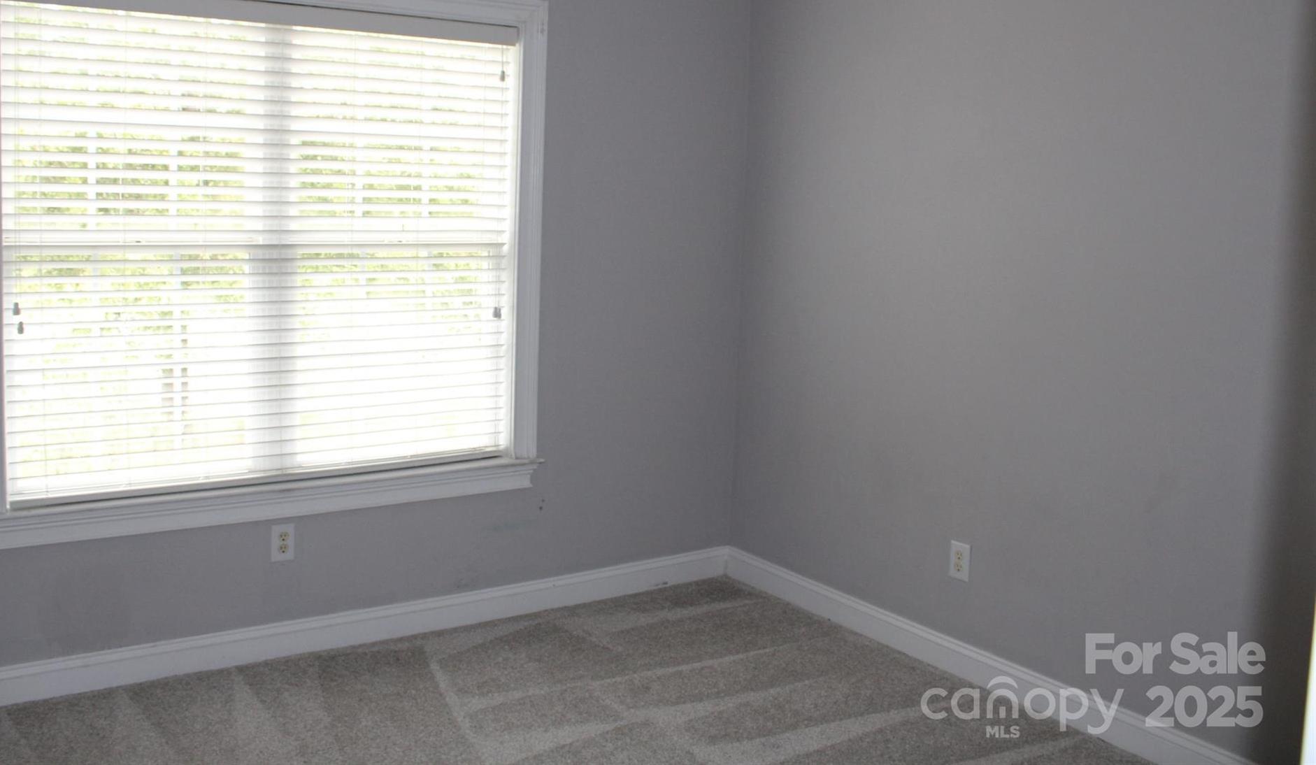 Photo #19