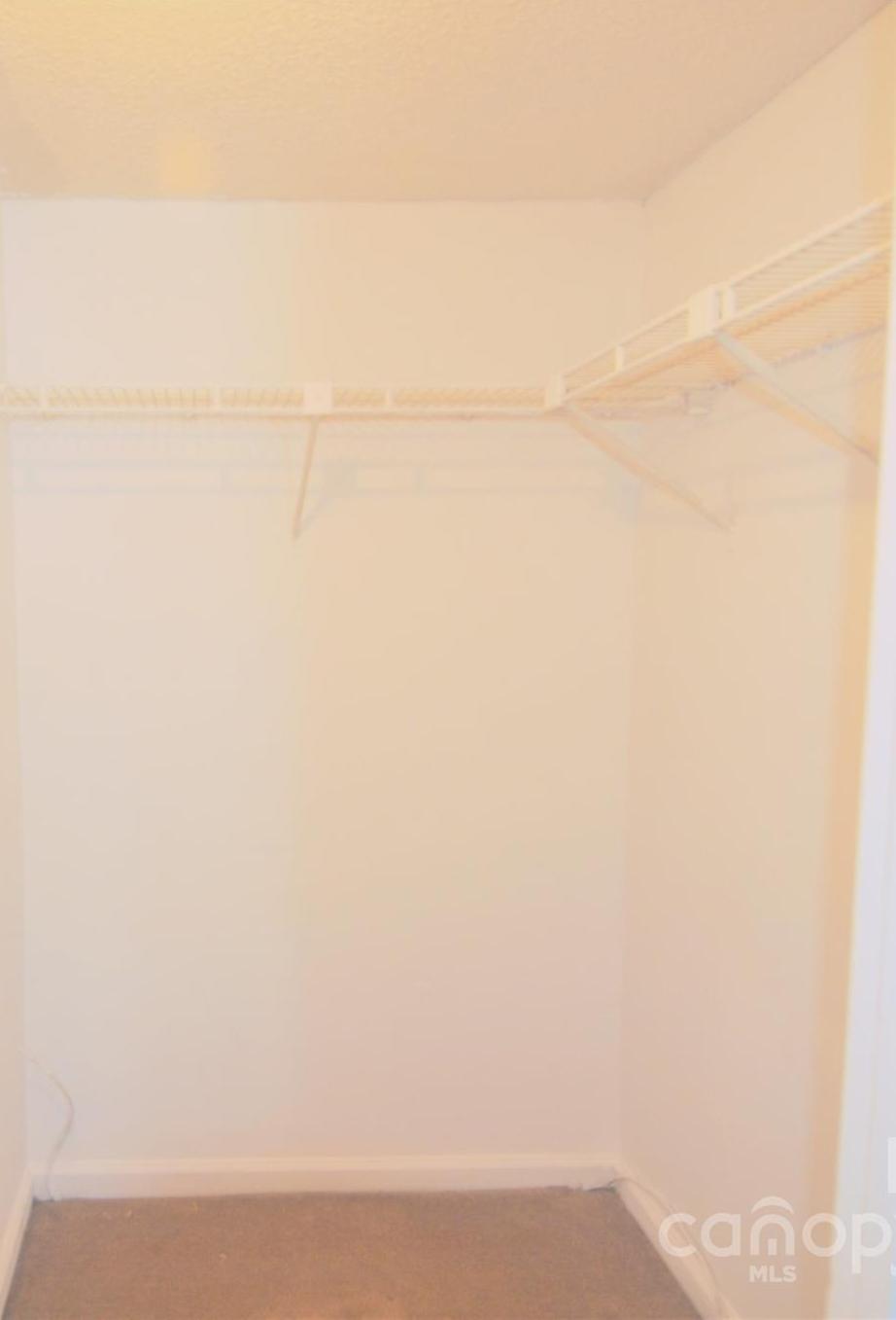 Photo #11