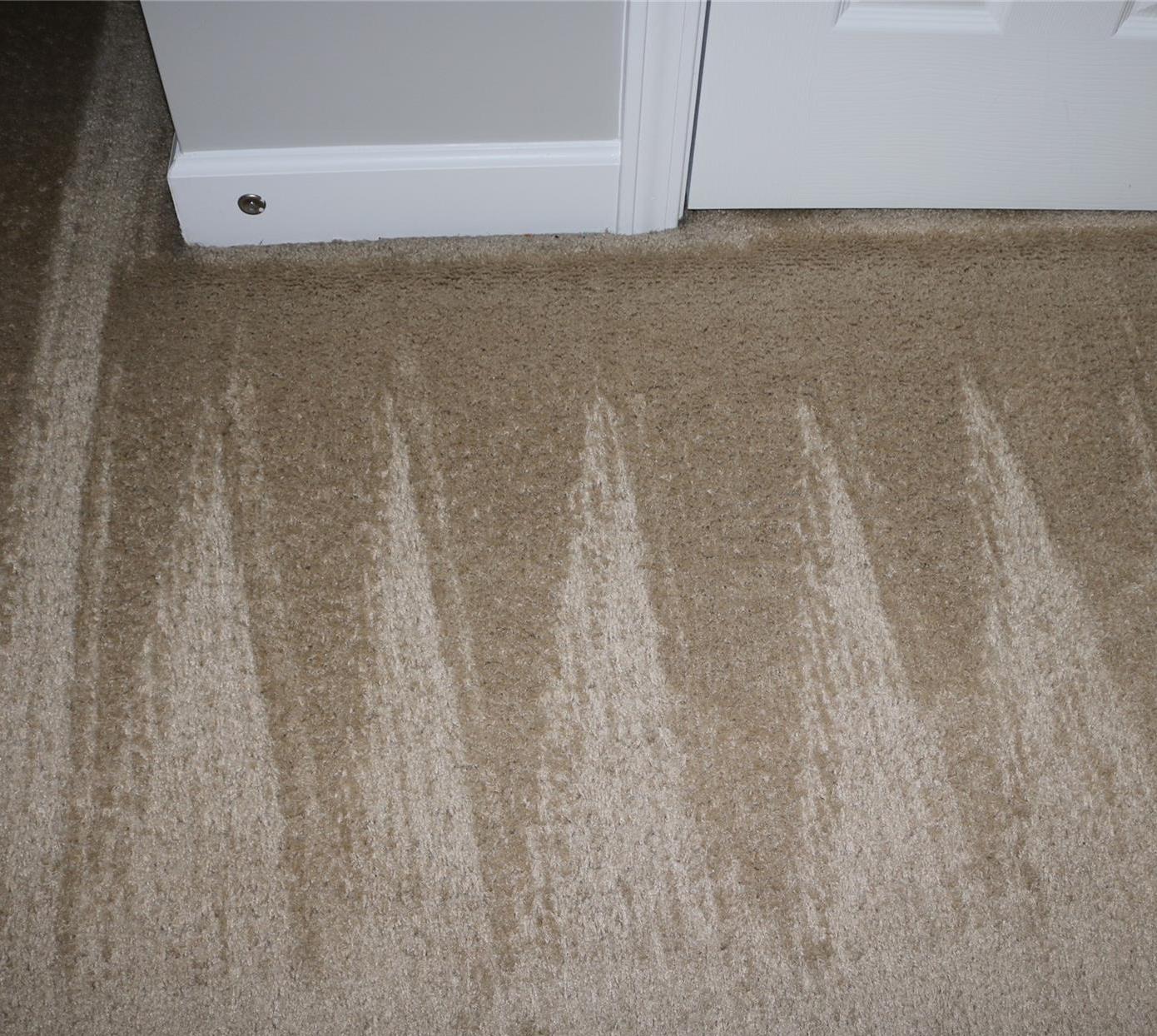 Photo #13