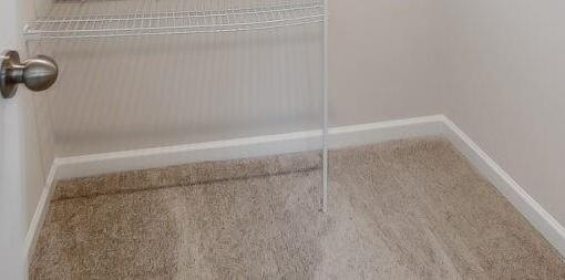 Photo #13