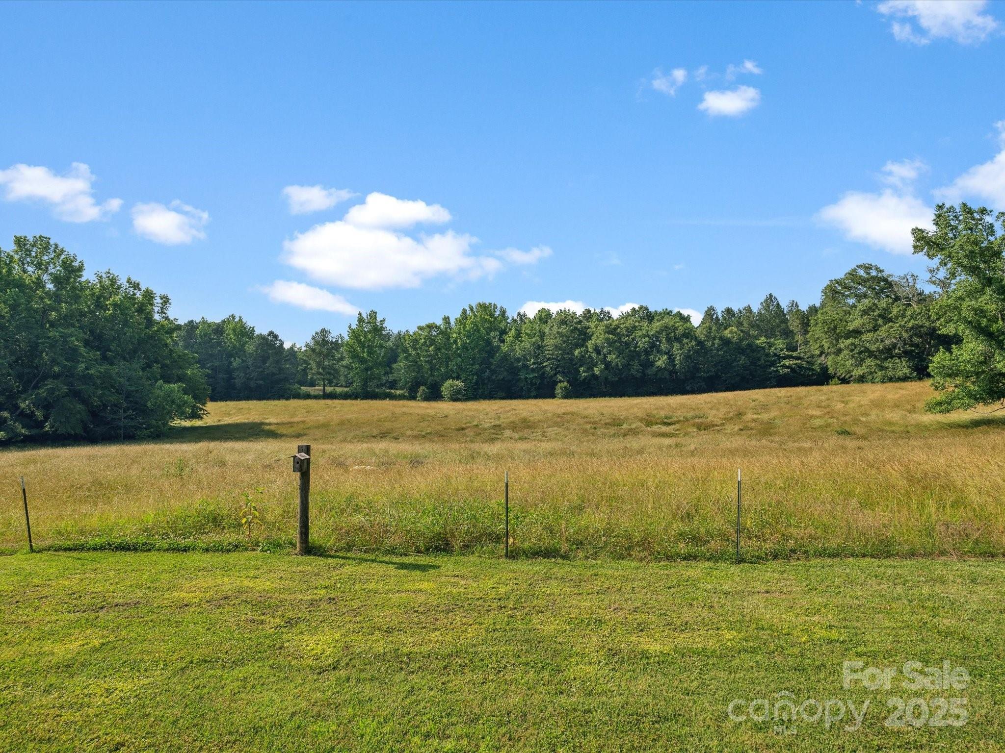 Photo #32