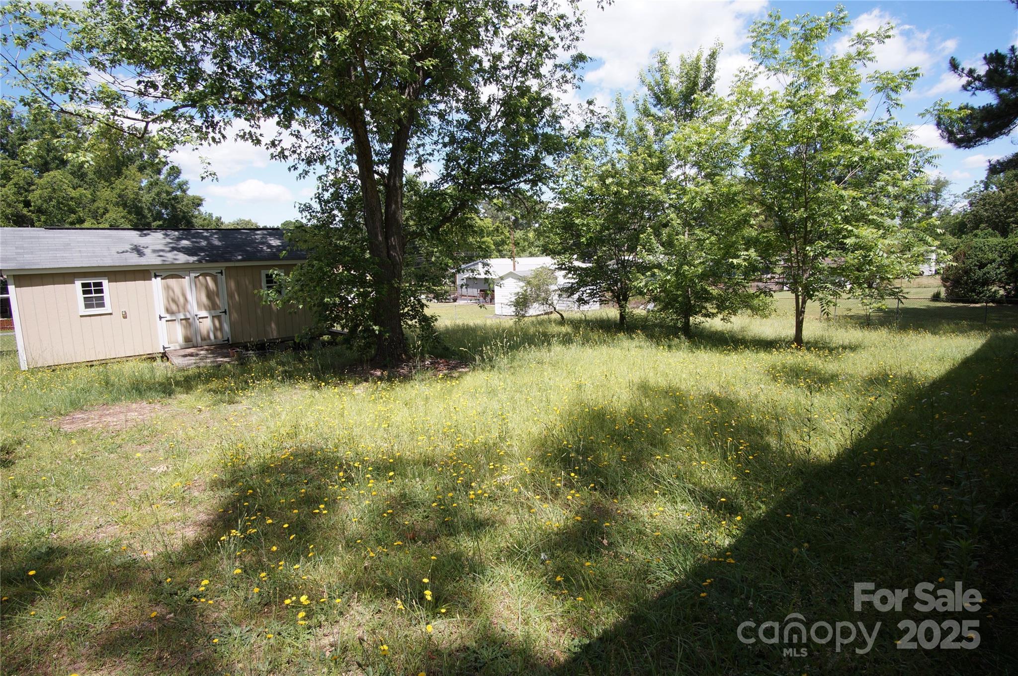 Photo #17
