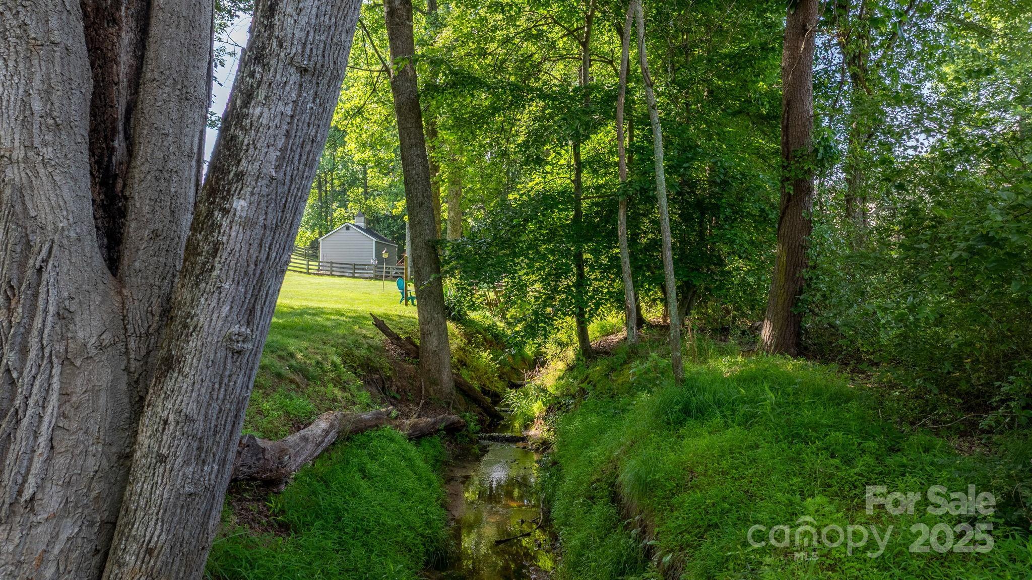 Photo #35