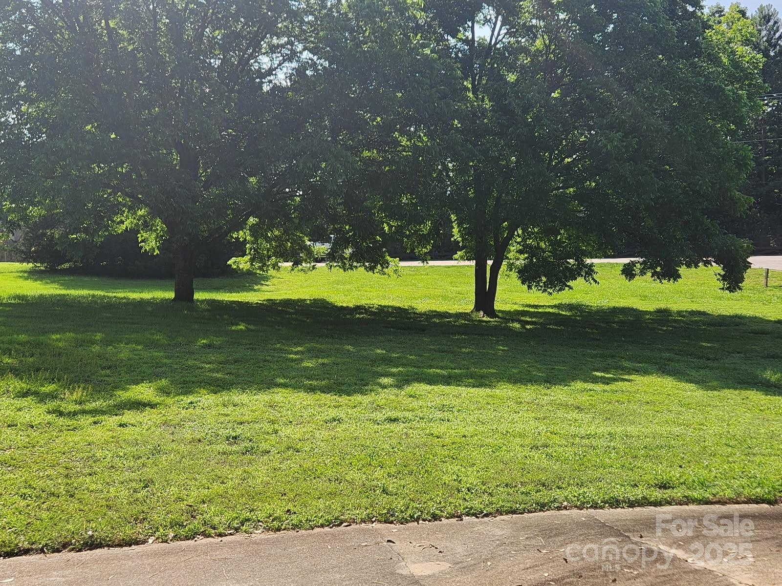 Photo #26