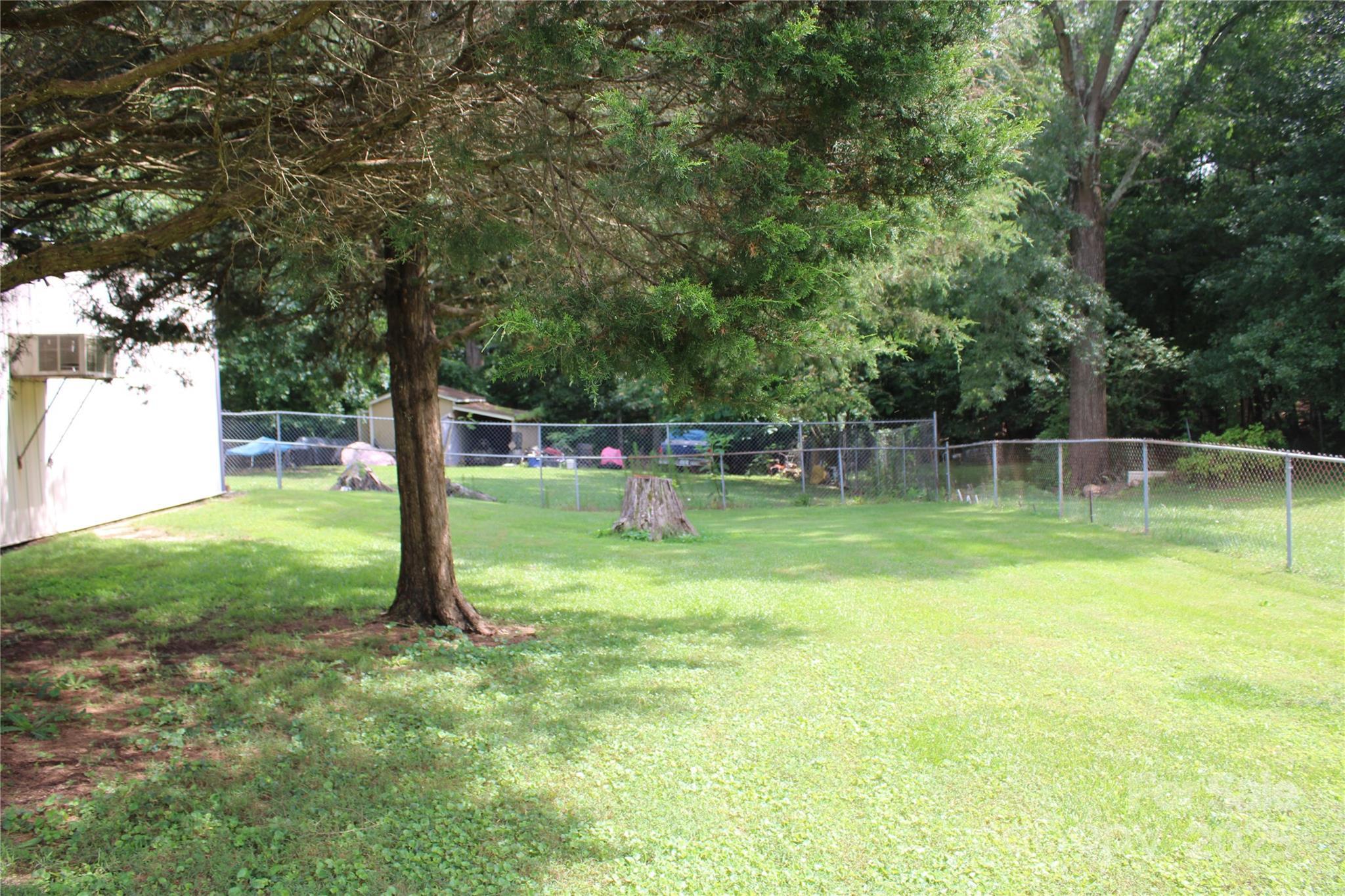 Photo #24