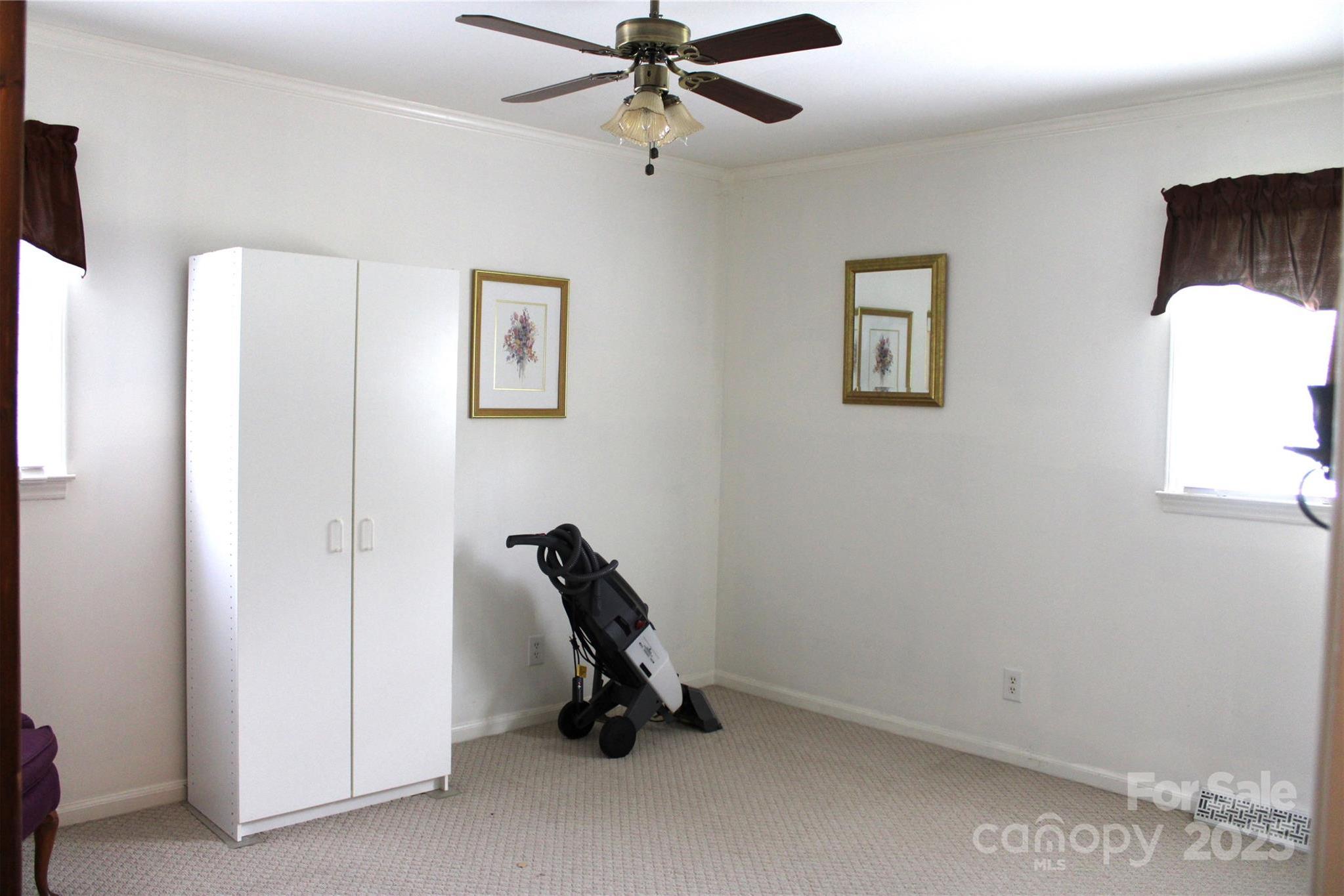 Photo #12
