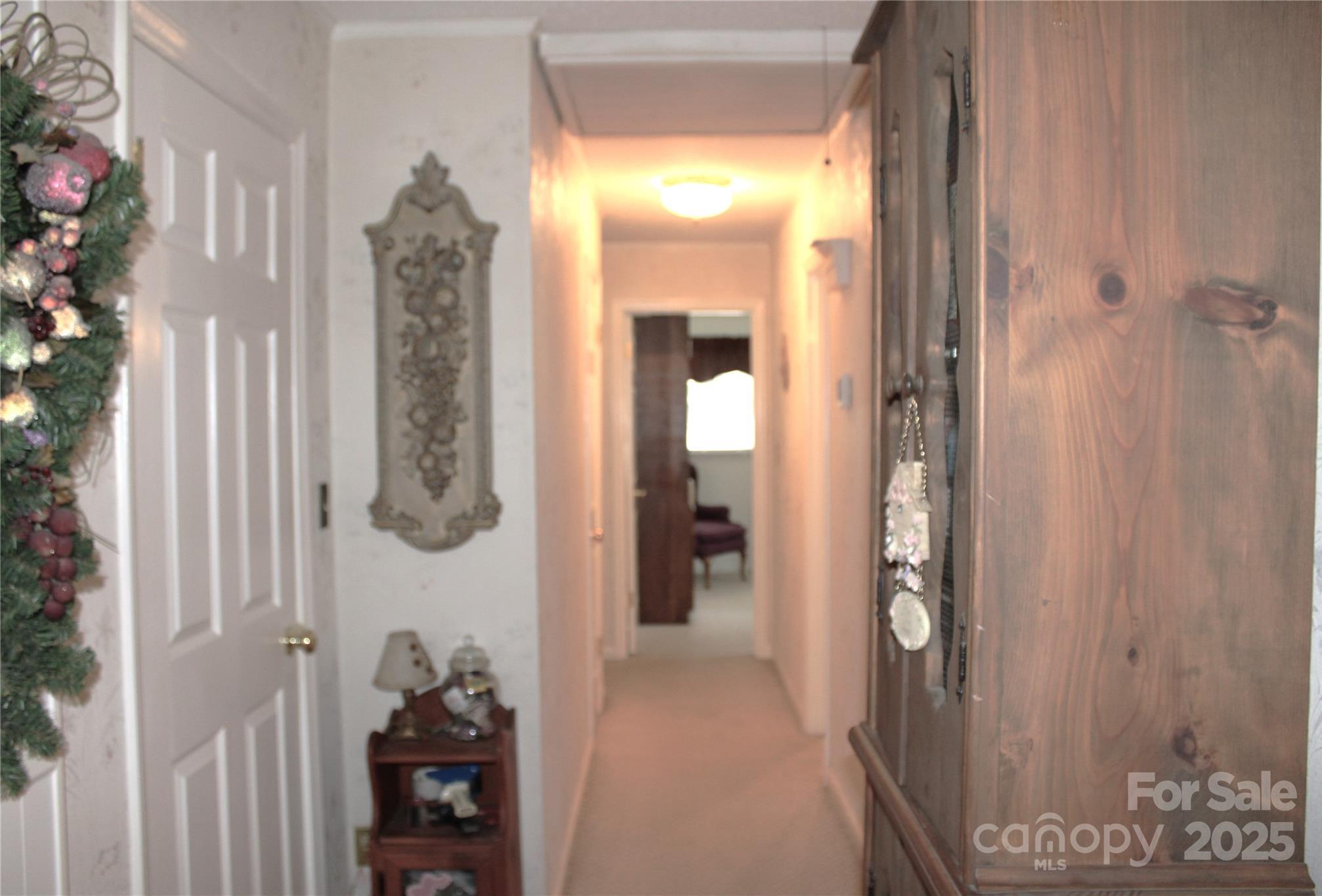 Photo #20