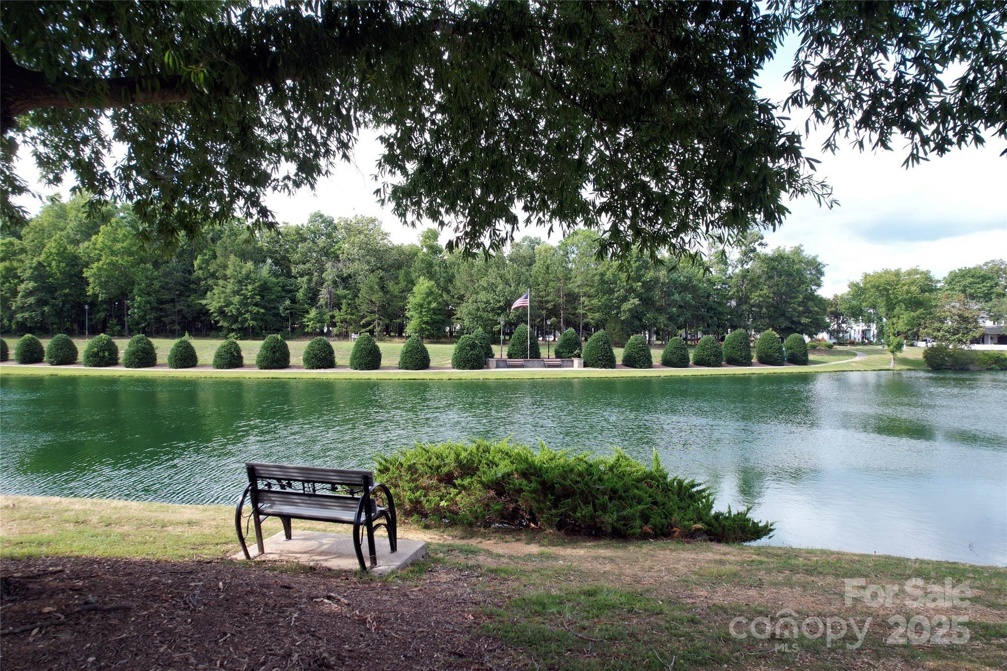 Photo #45