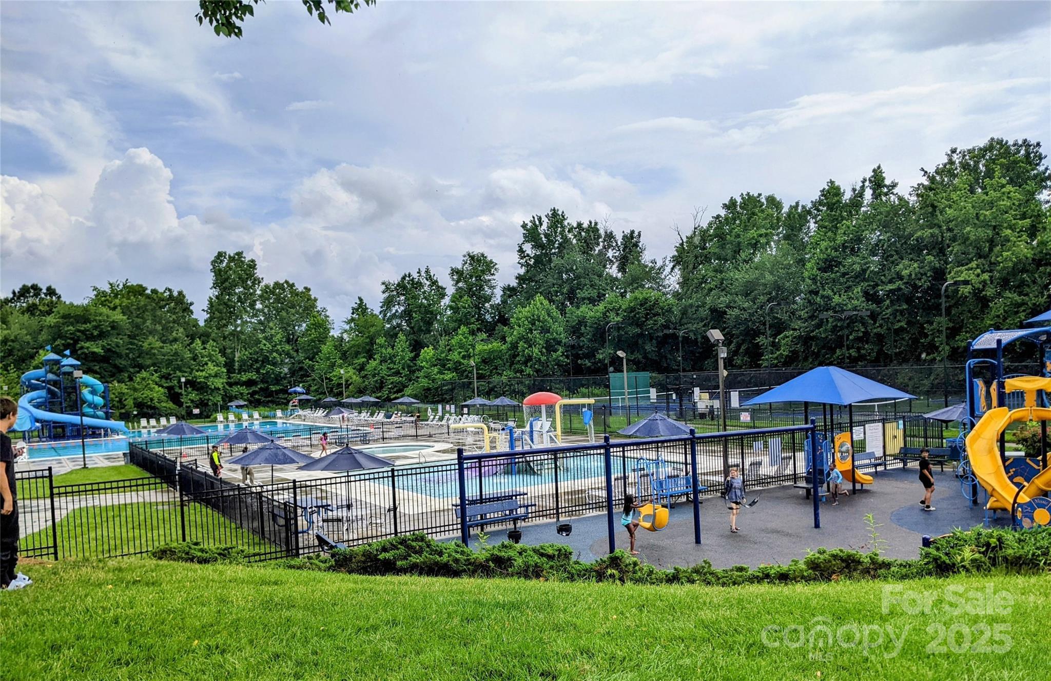 Photo #41