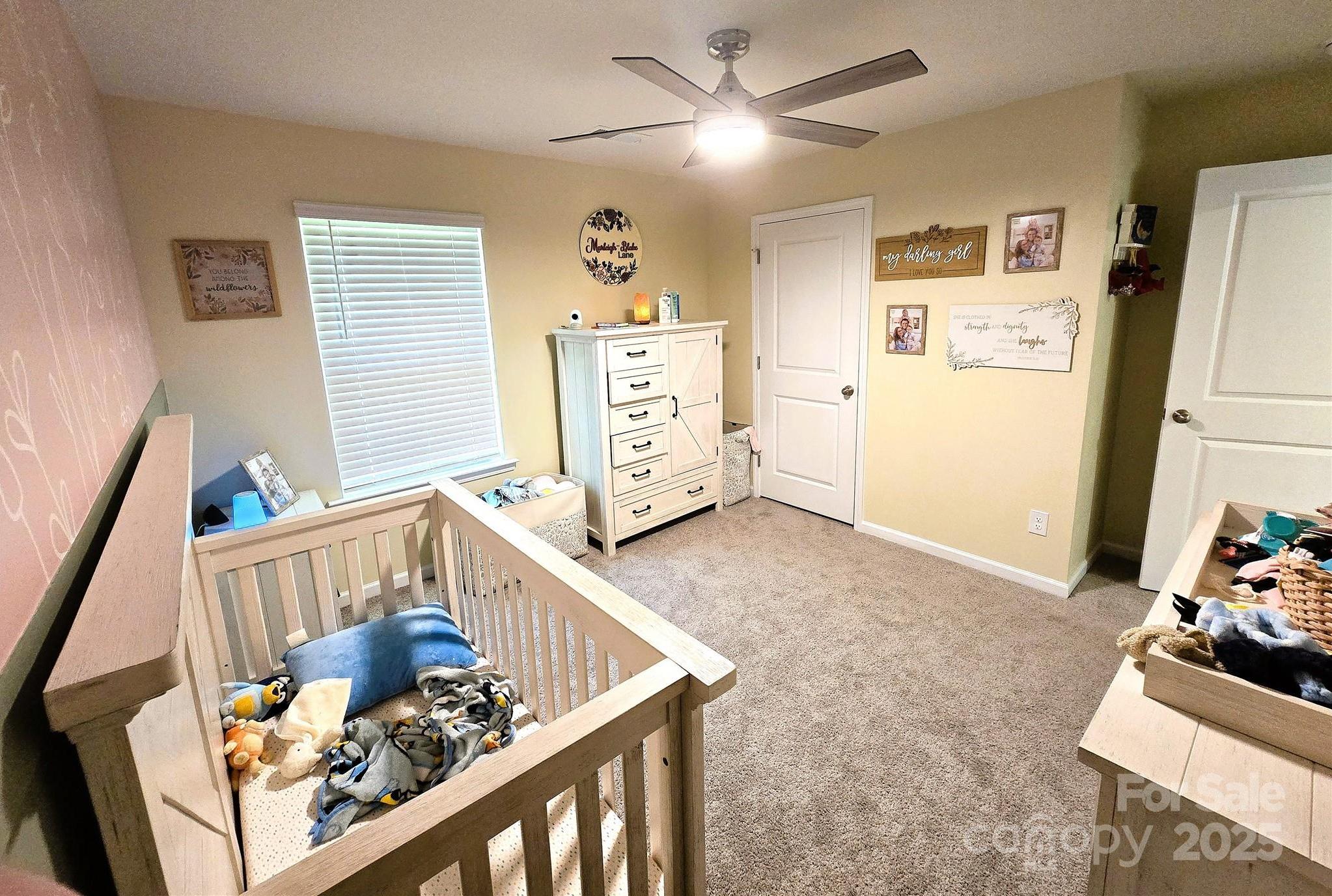 Photo #27