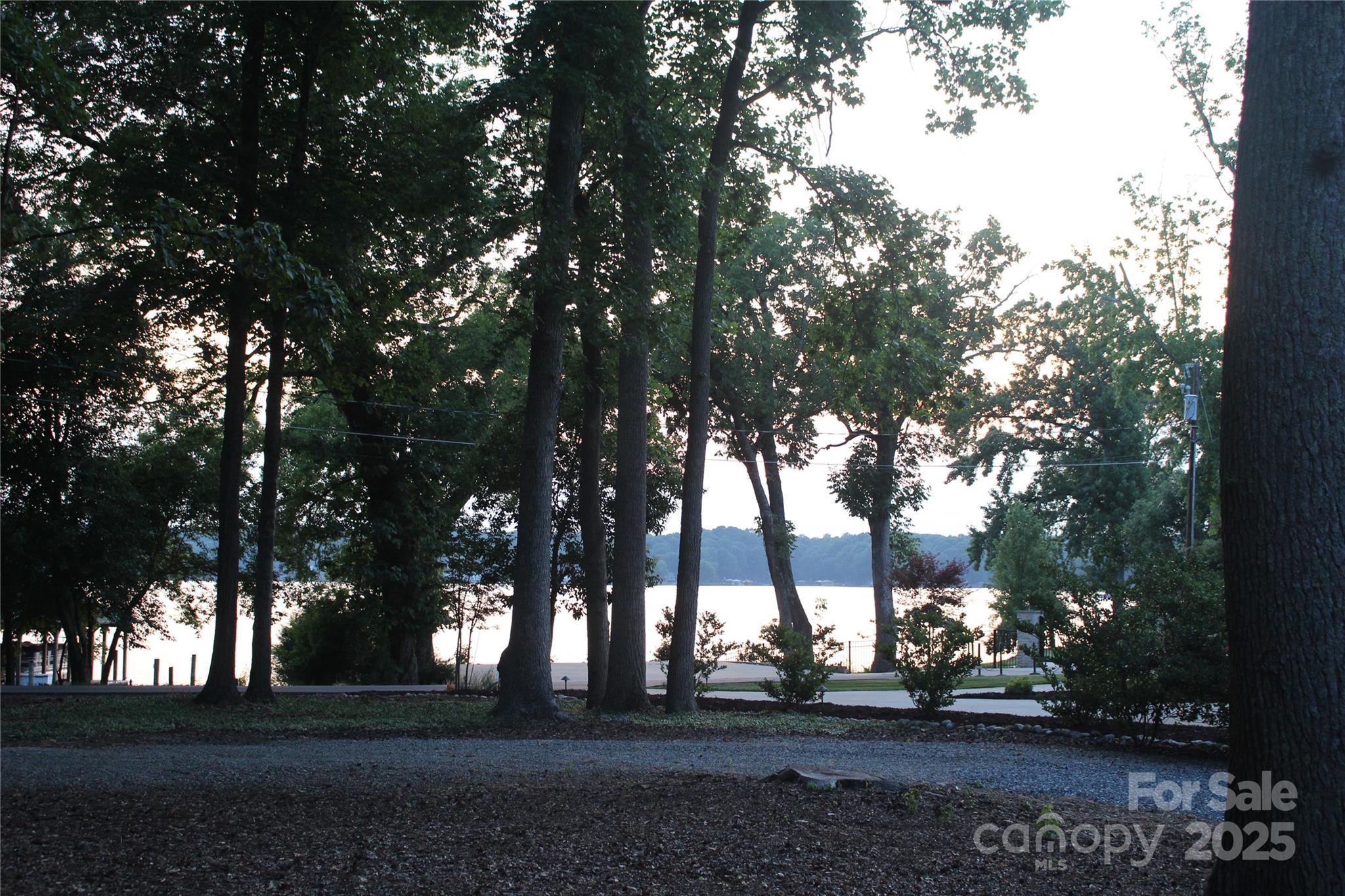 Photo #36