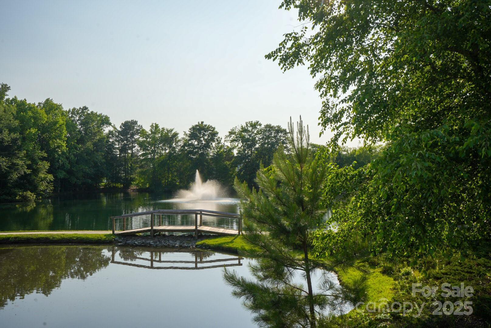 Photo #30