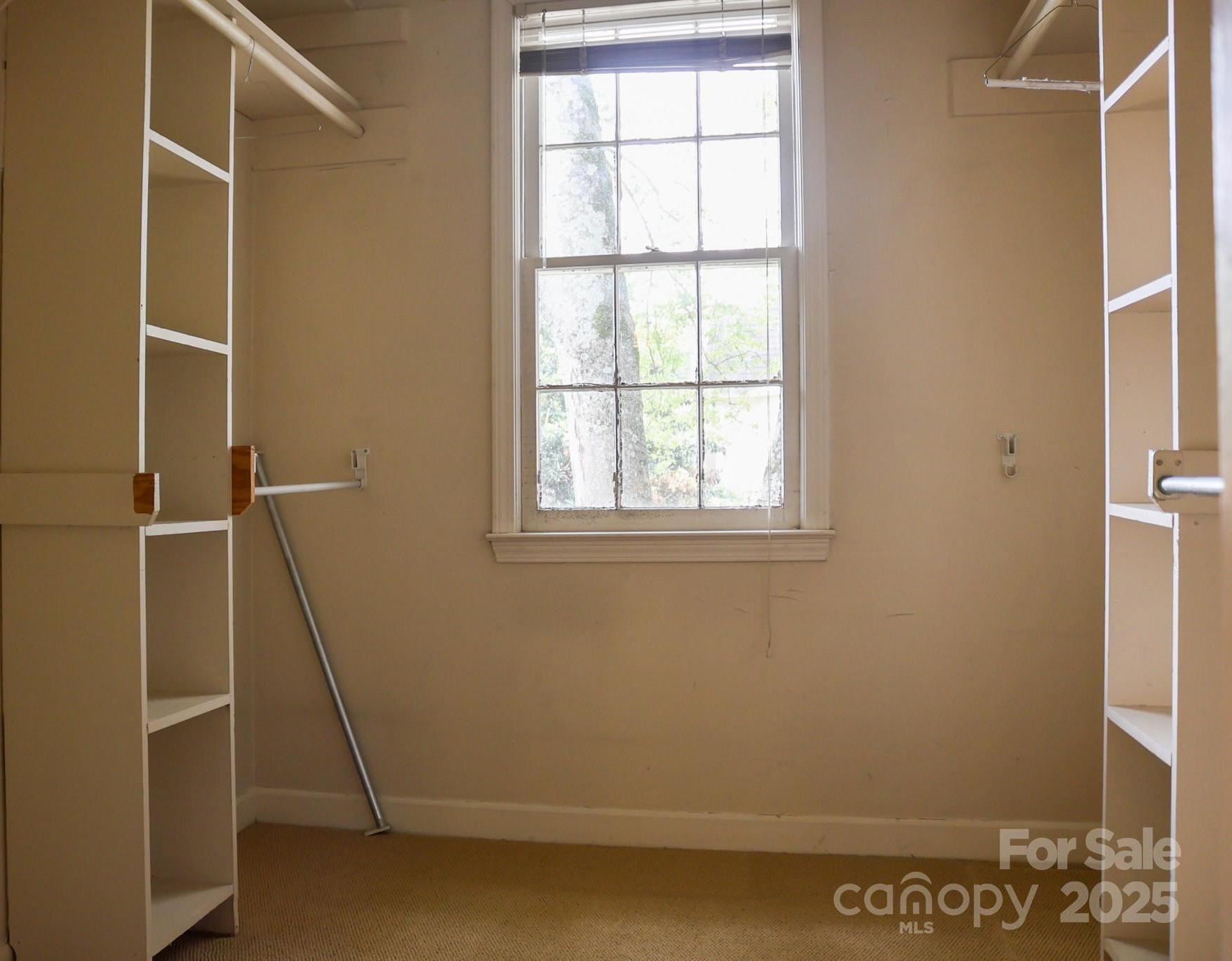 Photo #13
