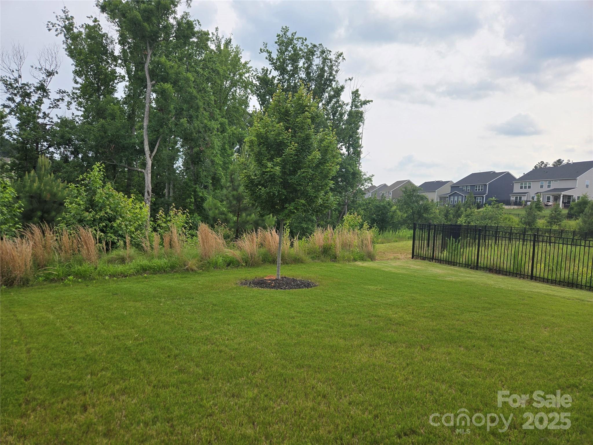 Photo #34
