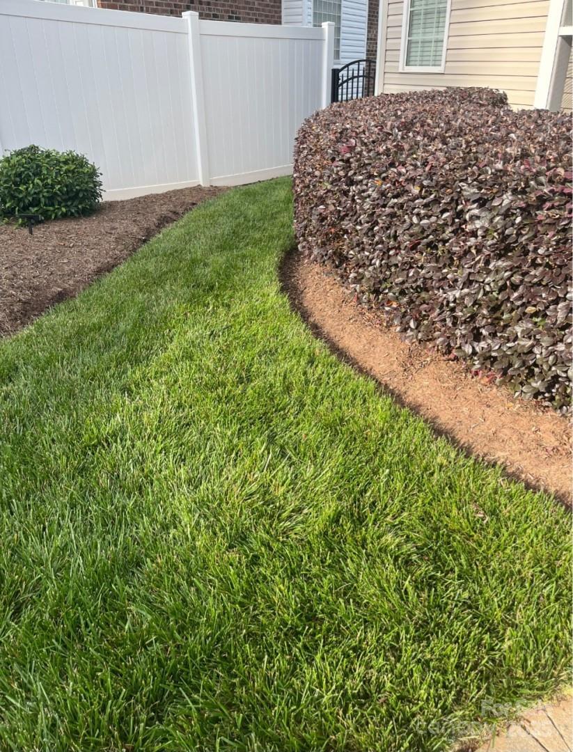 Photo #16