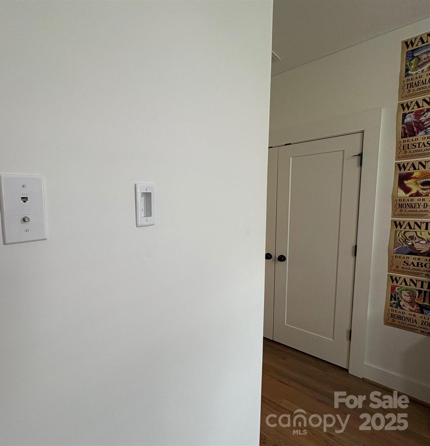 Photo #42