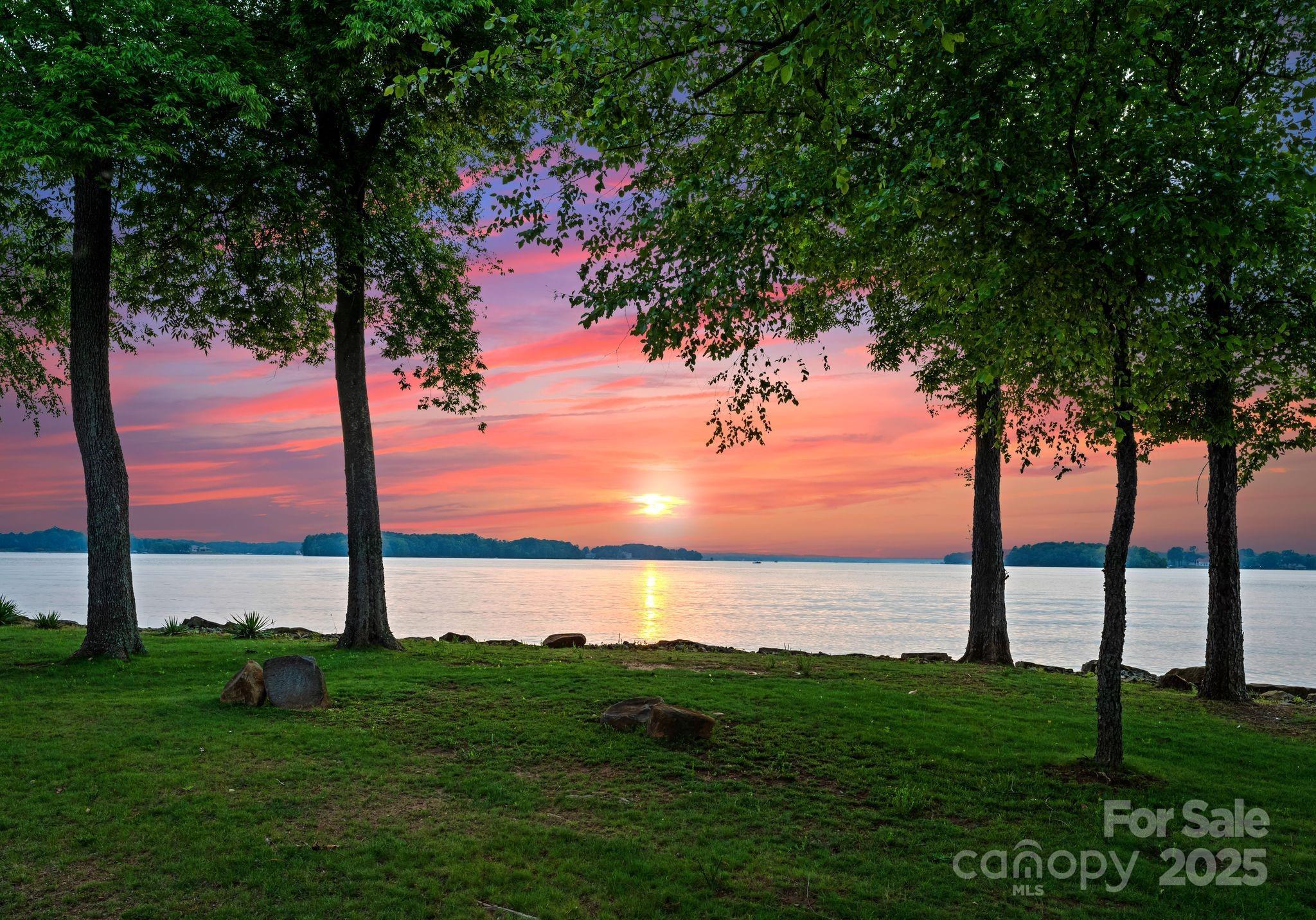 Photo #45