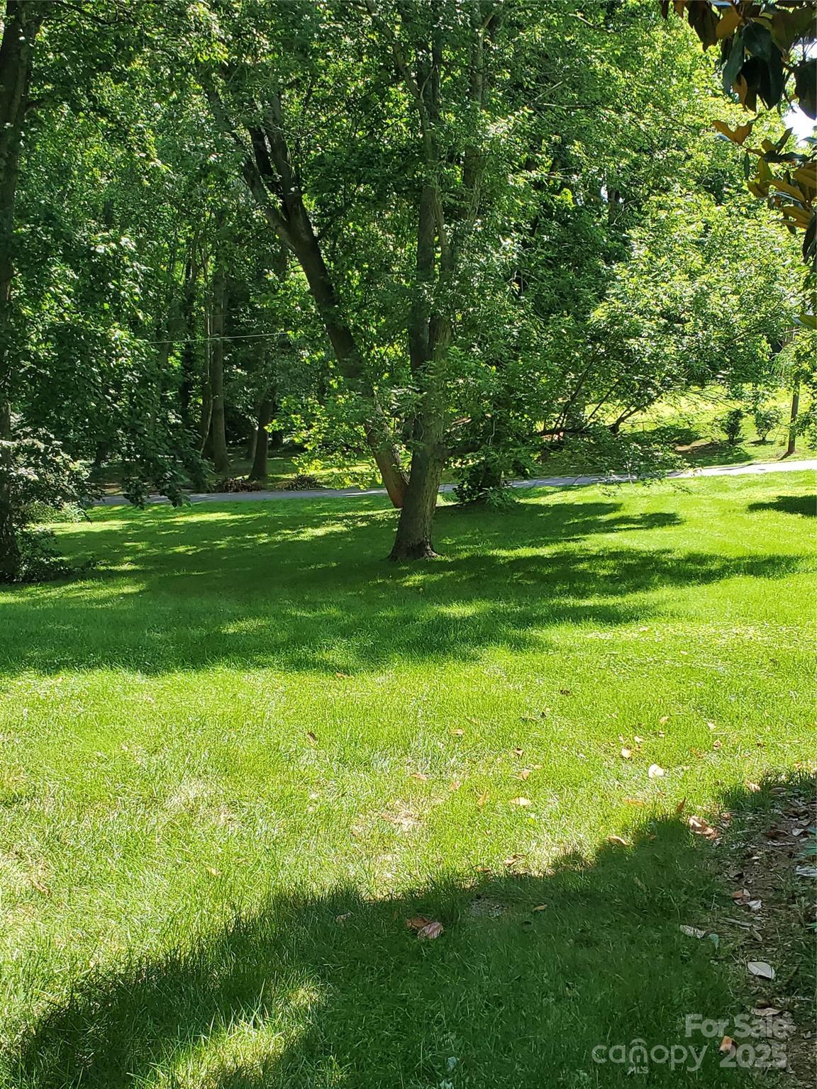 Photo #45