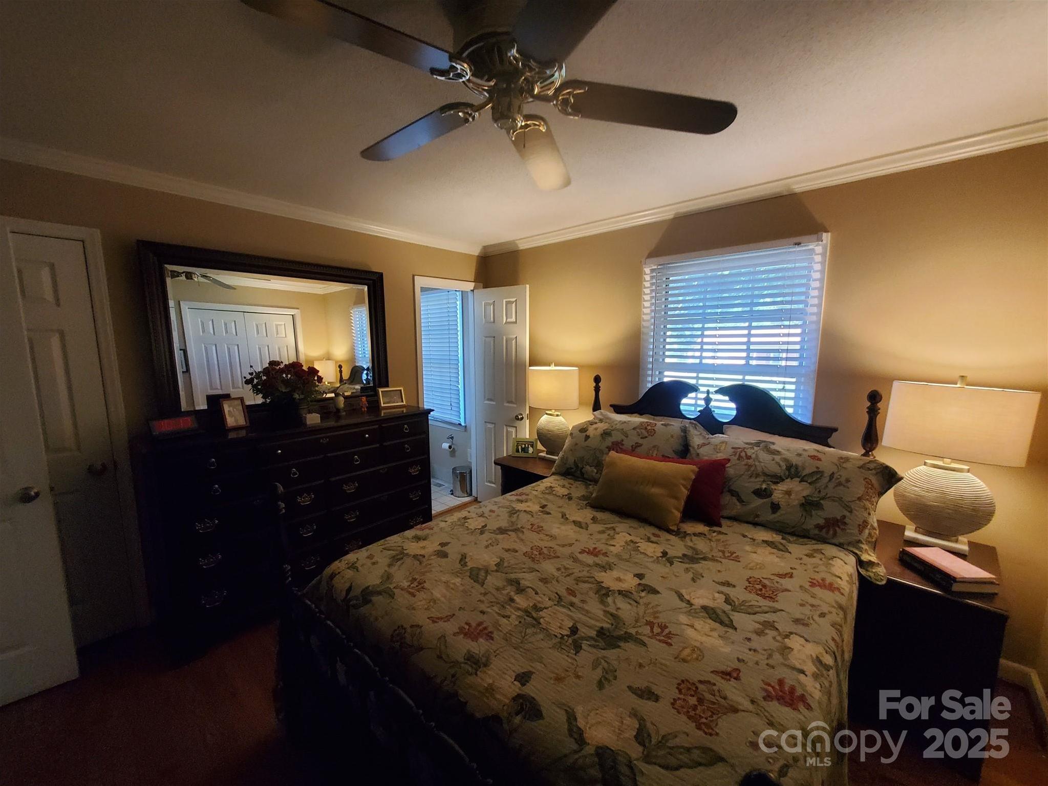 Photo #31