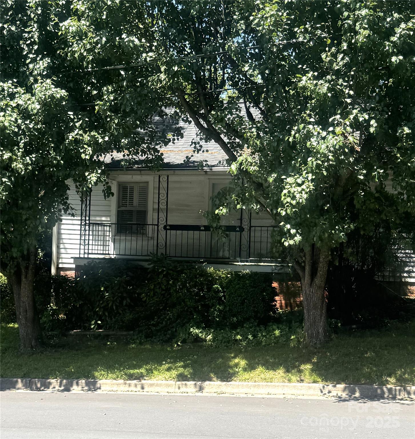 Photo #3