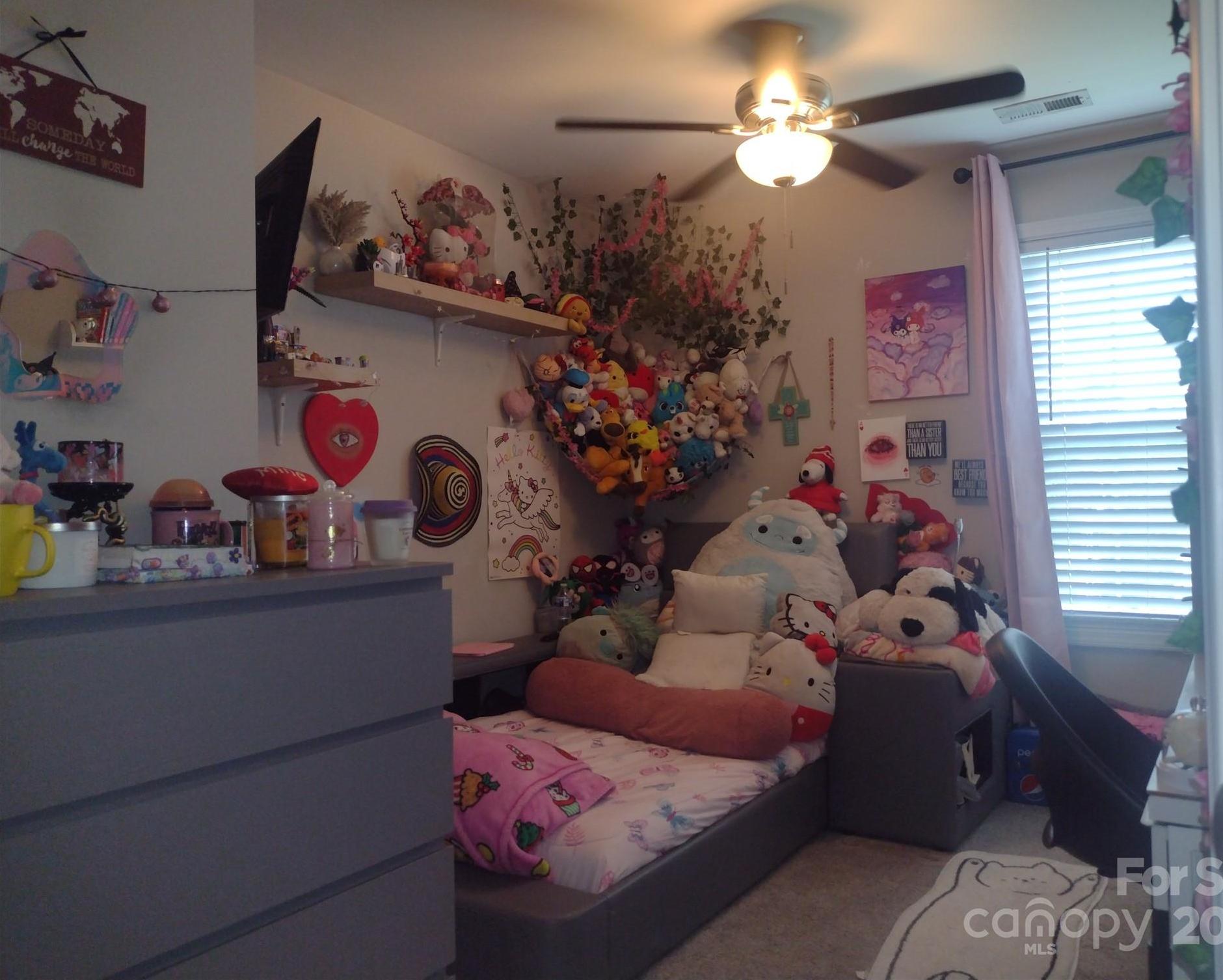 Photo #16