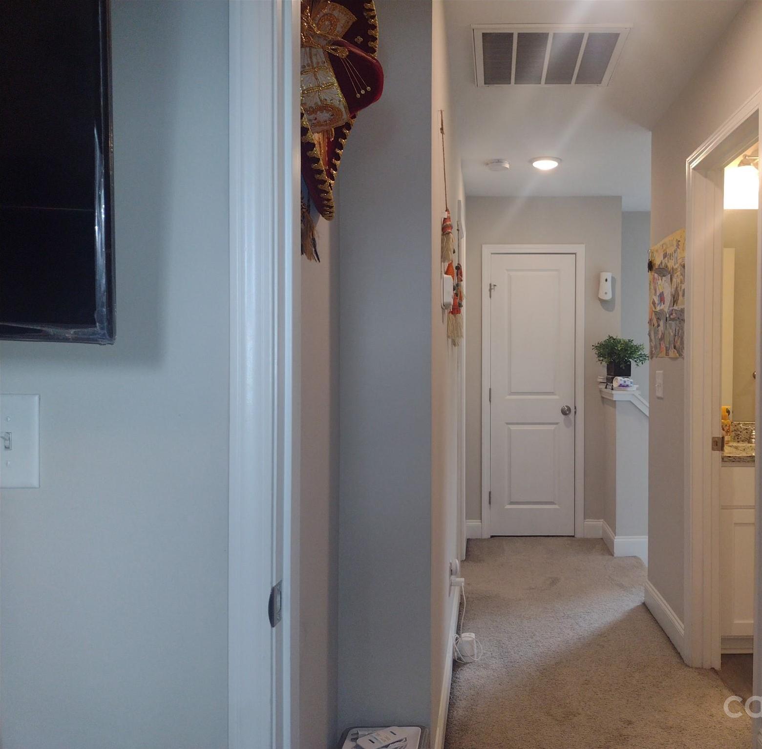 Photo #14