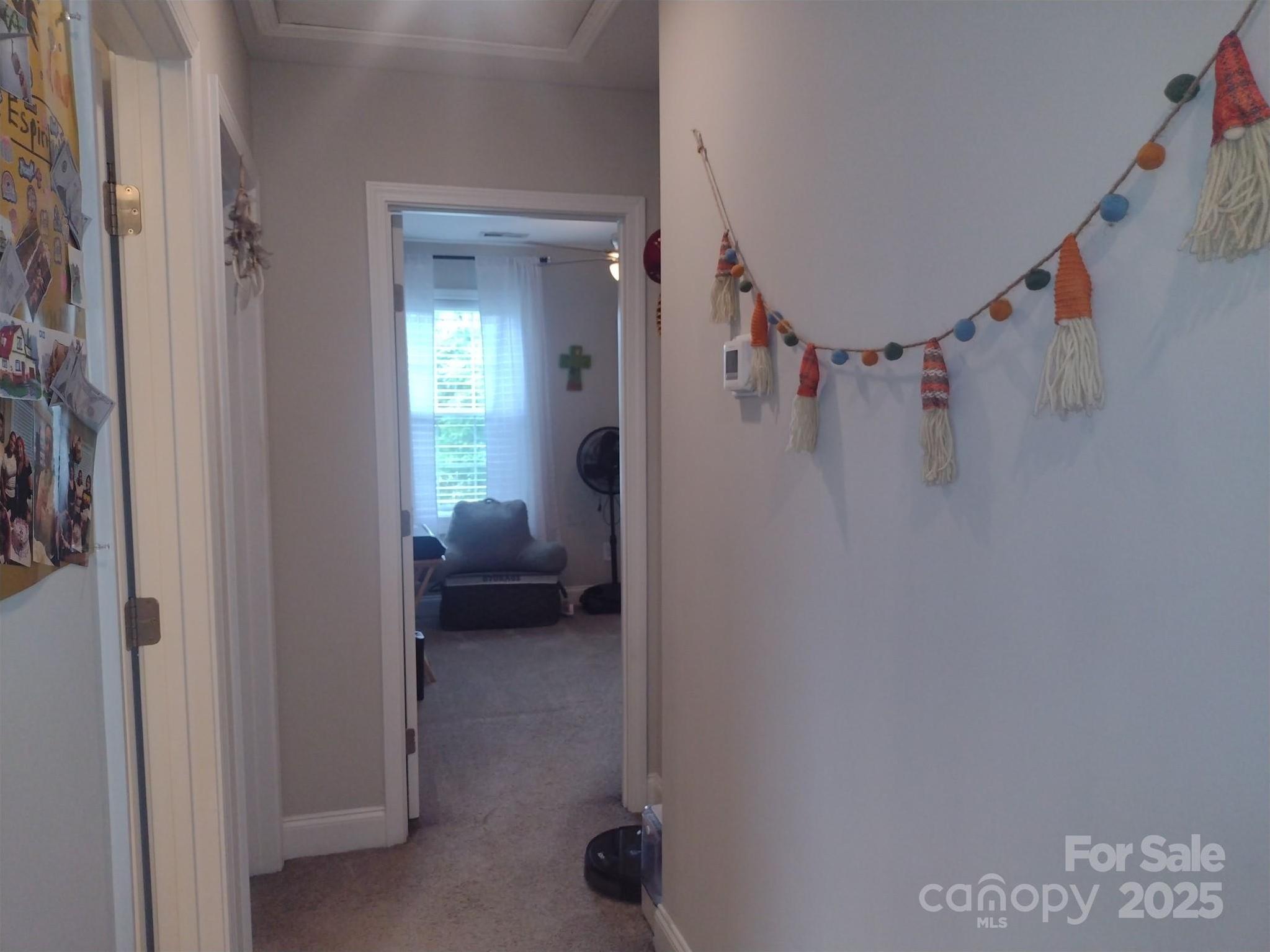 Photo #13