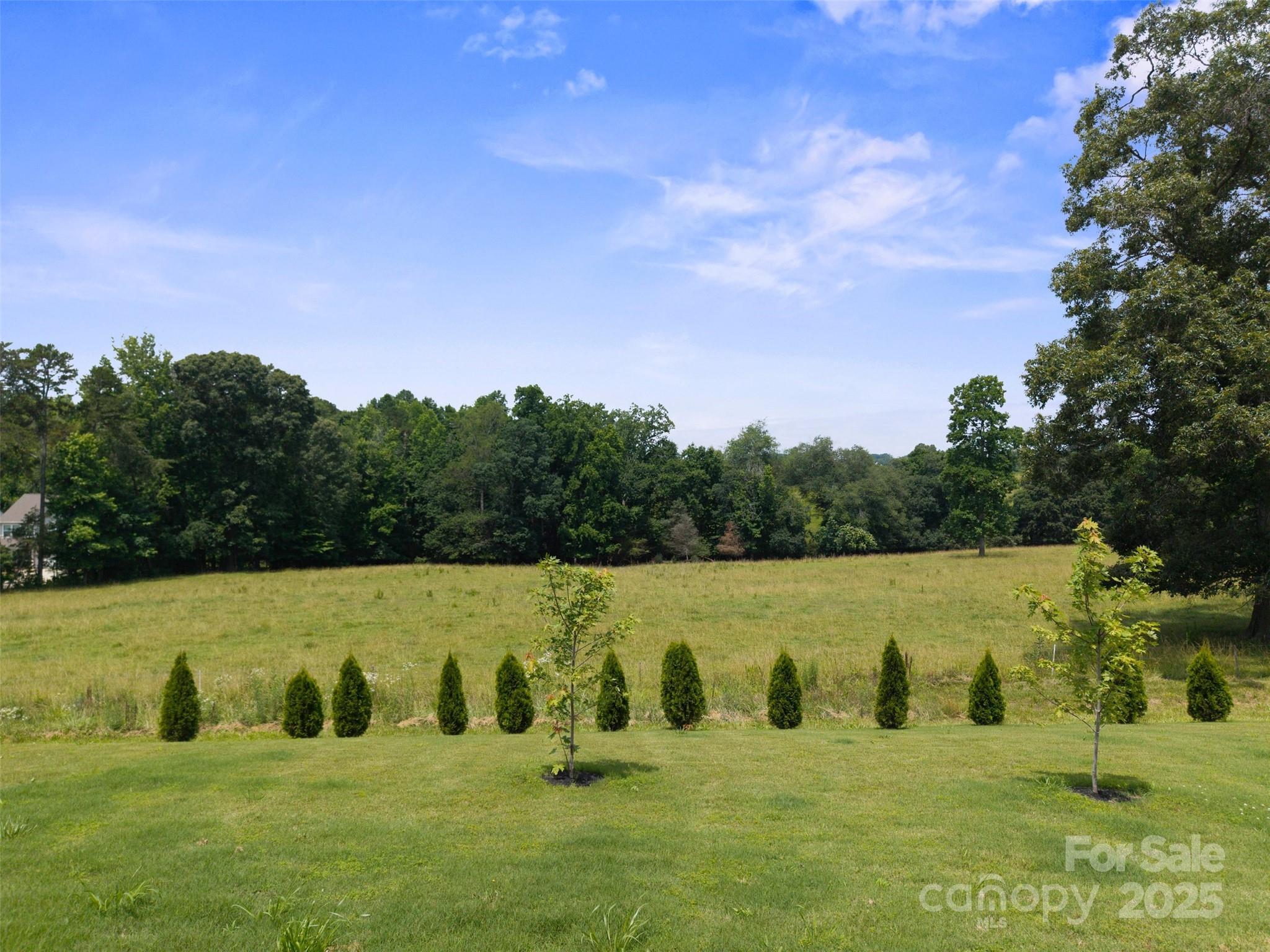 Photo #41
